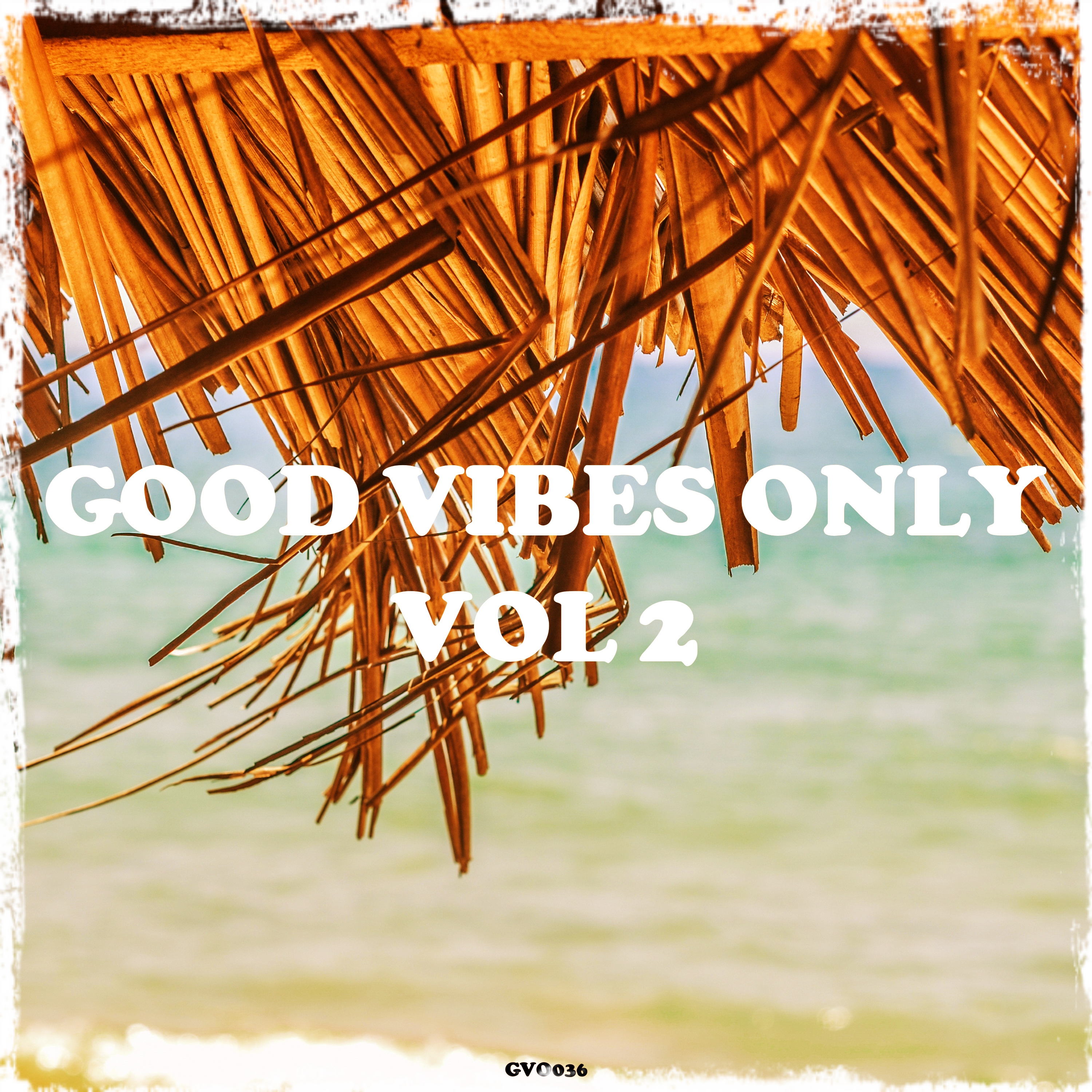 Good Vibes Only, Vol. 2