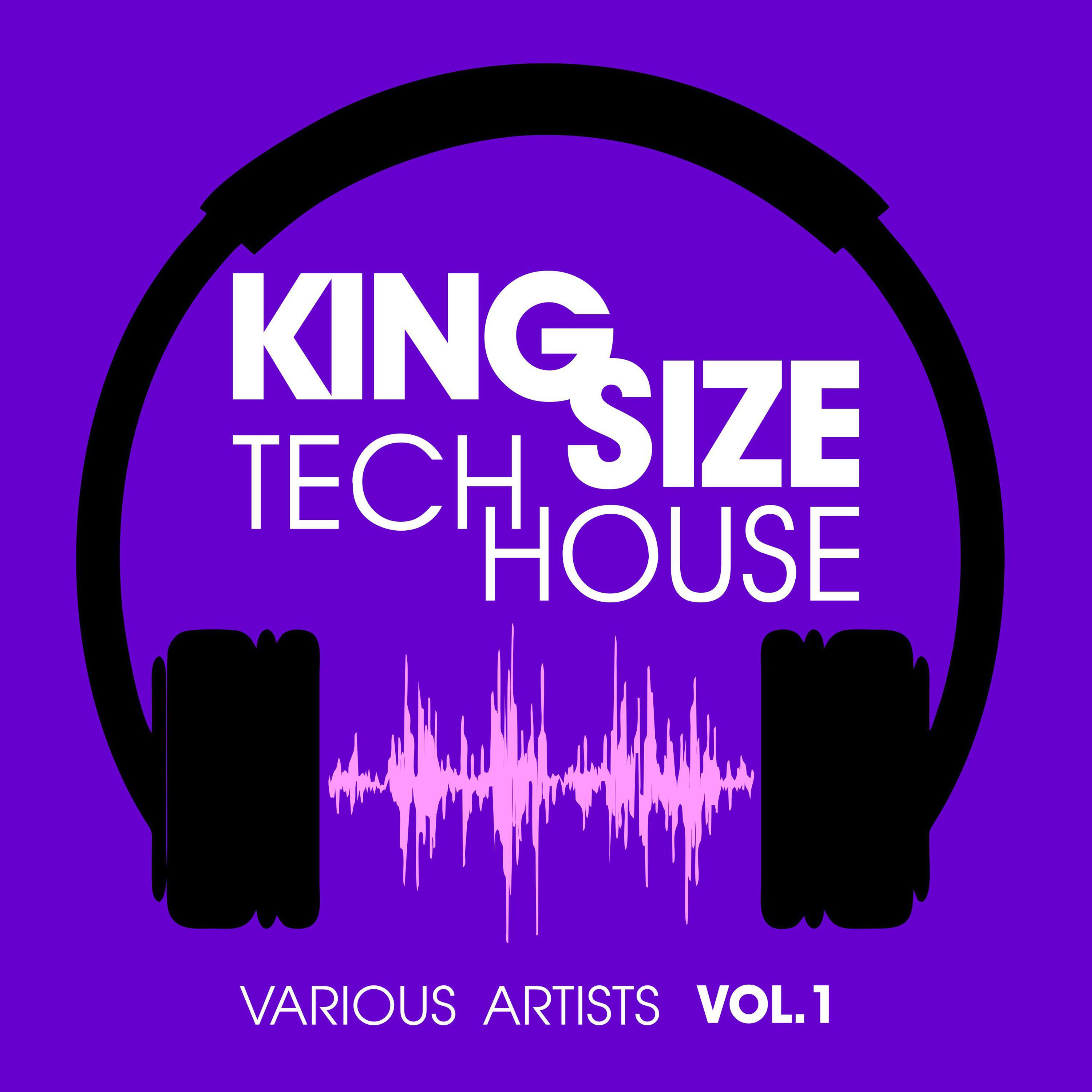 King Size Tech House, Vol. 1