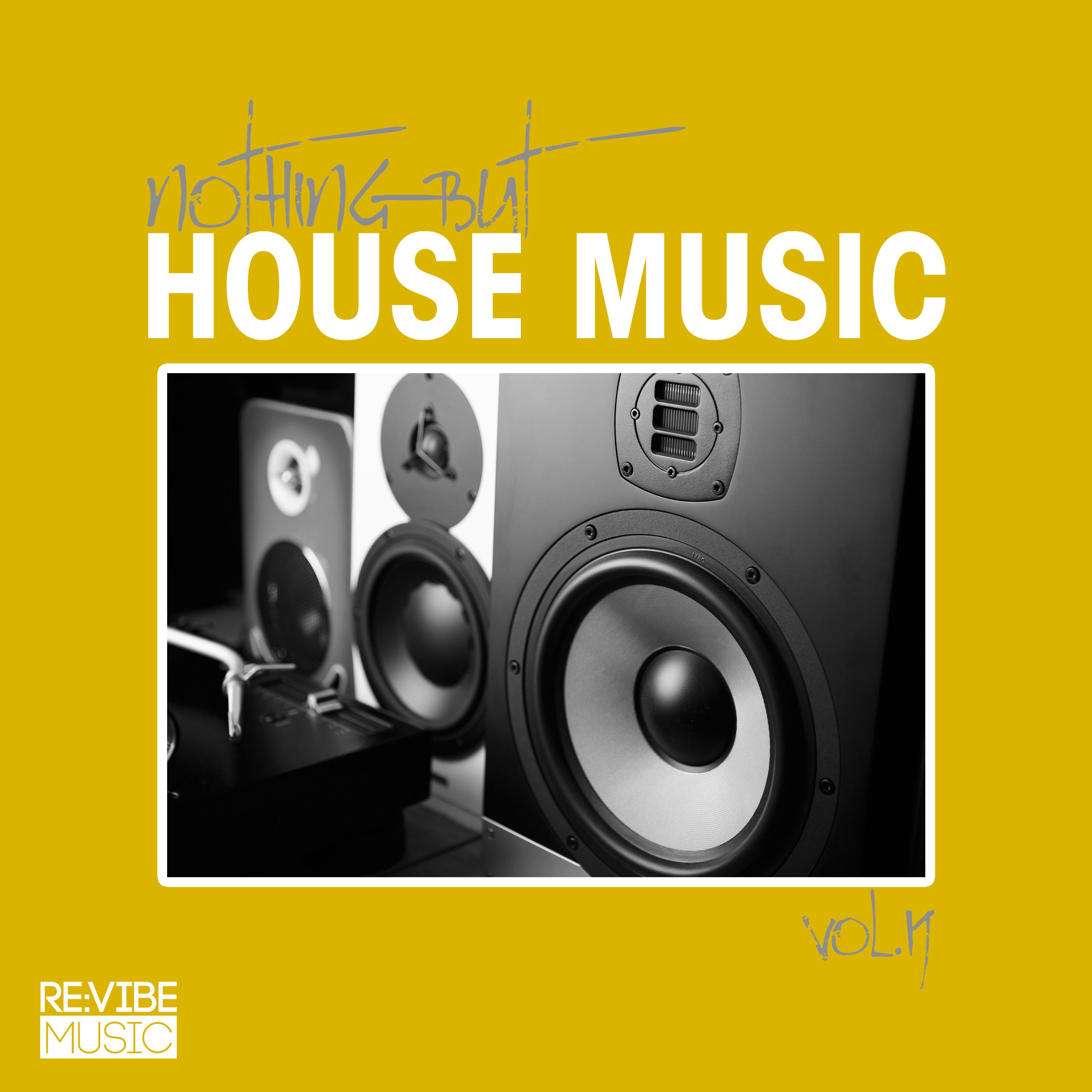 Nothing but House Music, Vol. 19