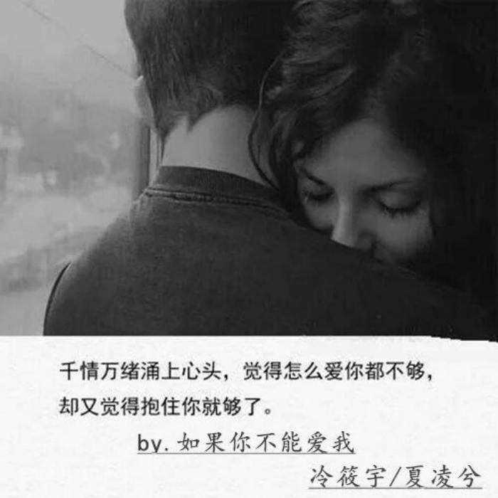 ru guo ni bu neng ai wo