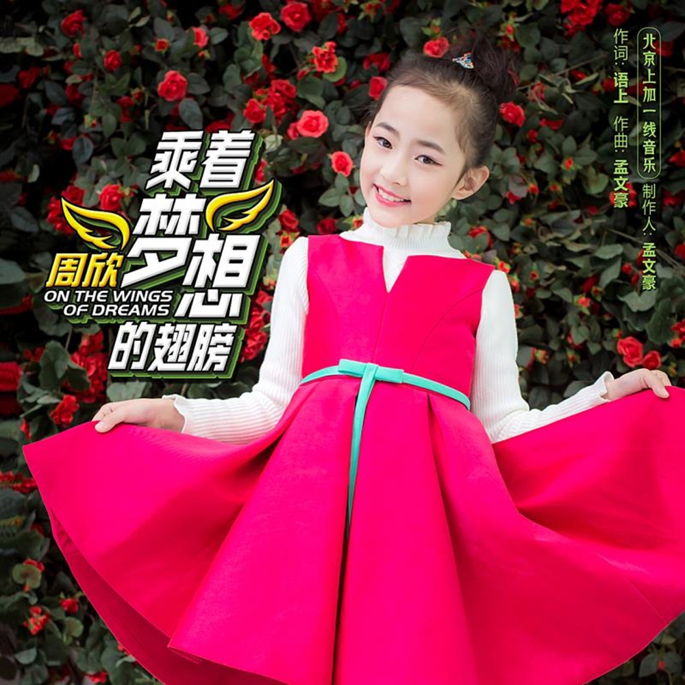 cheng zhe meng xiang de chi bang