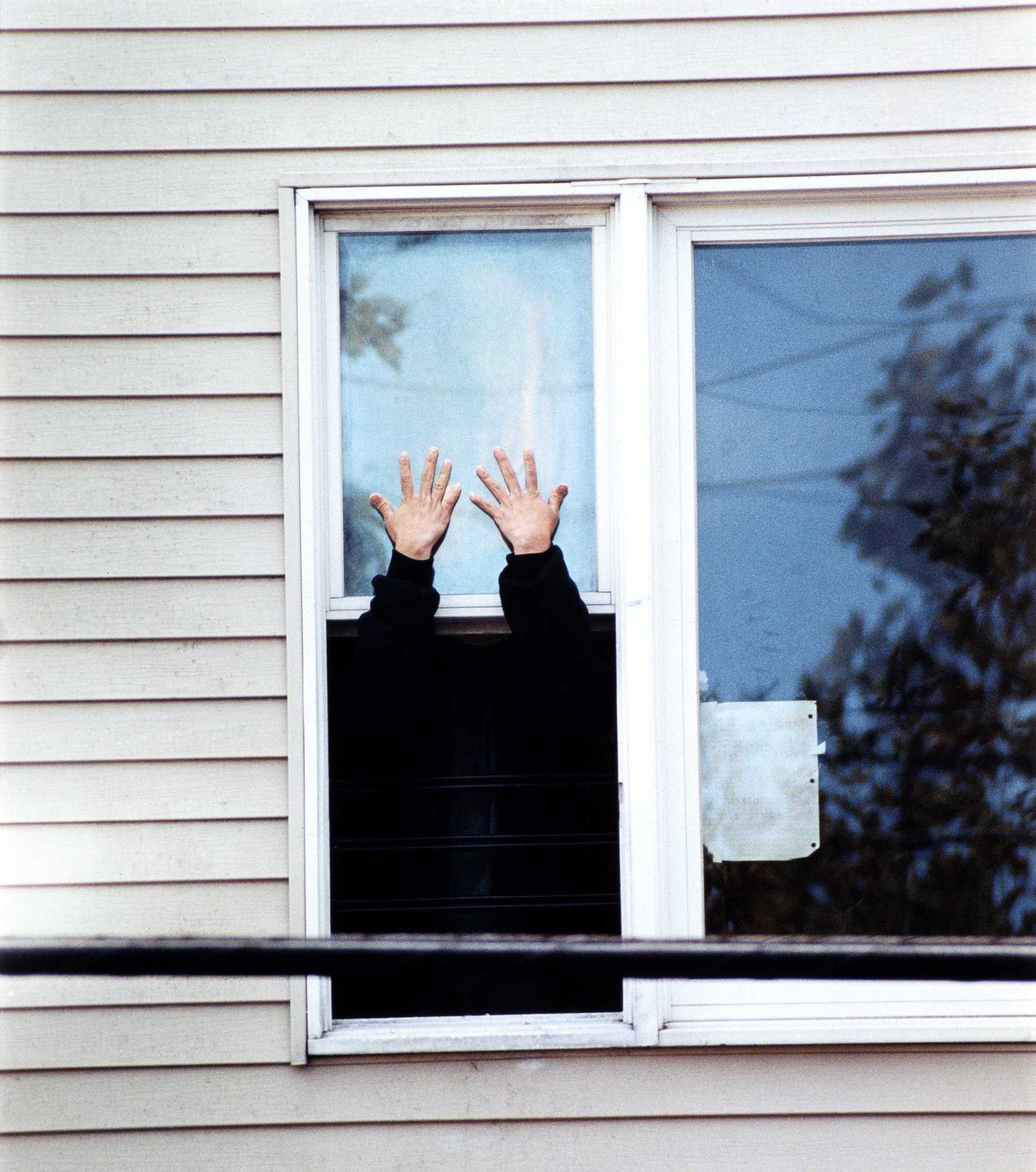 liang fen zhong de ji xing, yi zhi mei fang qi, hai zai gen yi qun sha bi, gen zhe ge cao dan de she hui si ke