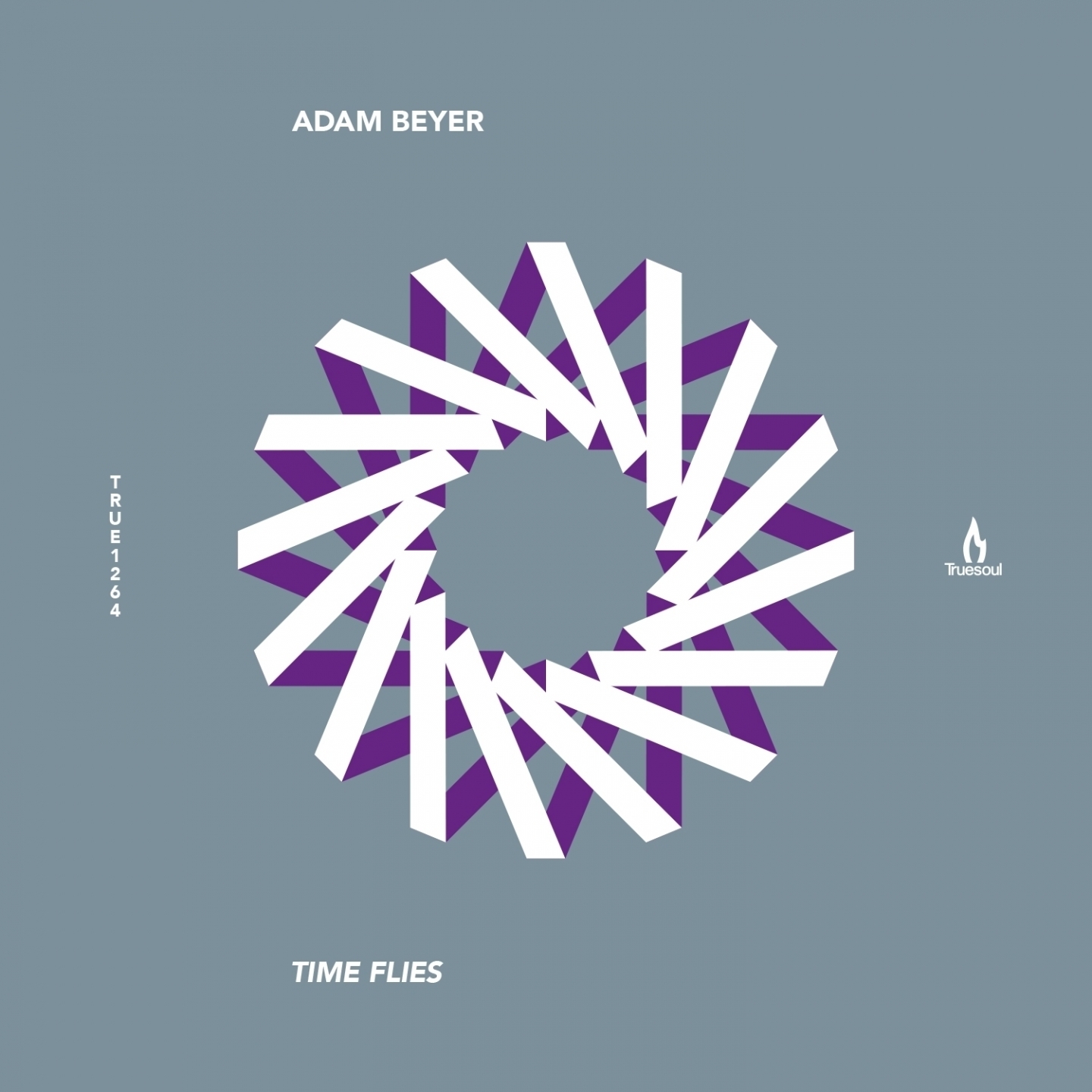 Time Flies (Tiger Stripes Remix)