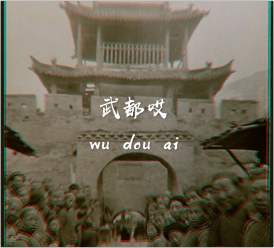 wu du ai