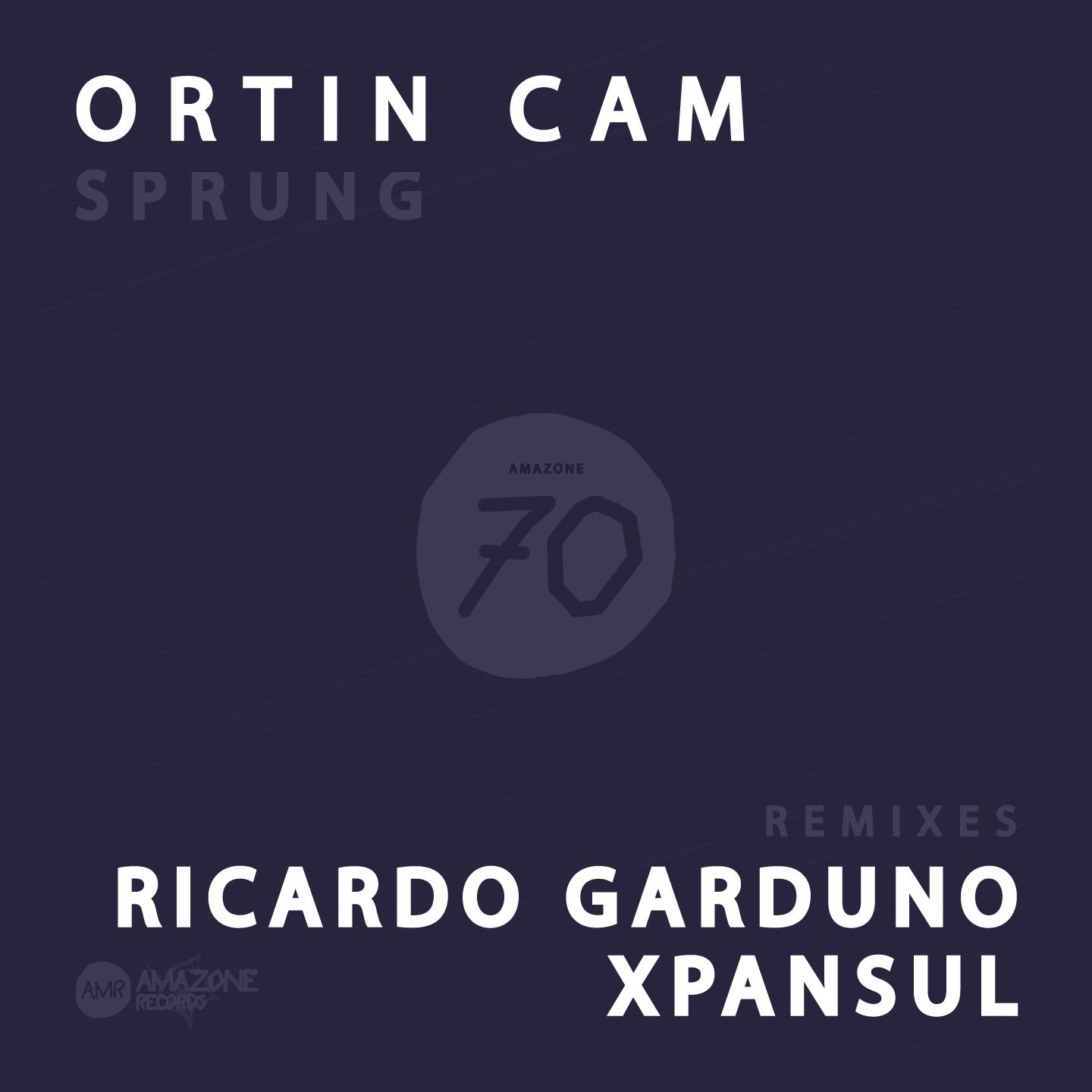 Sprung (Ricardo Garduno Remix)