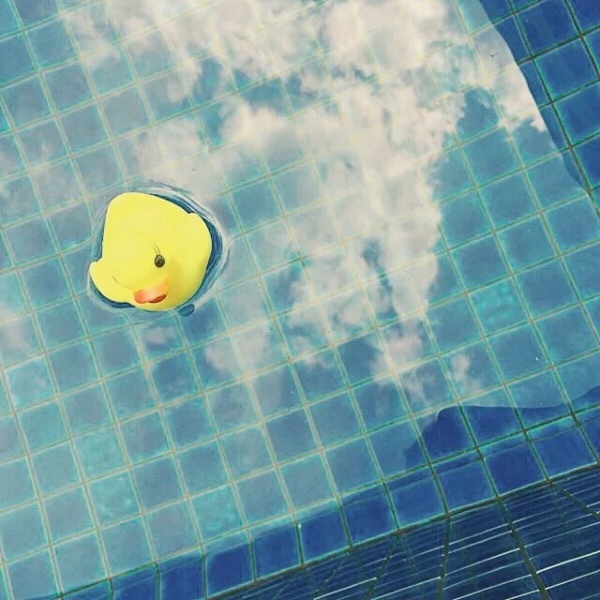 yun yan cheng yu Cover: fang dong de mao