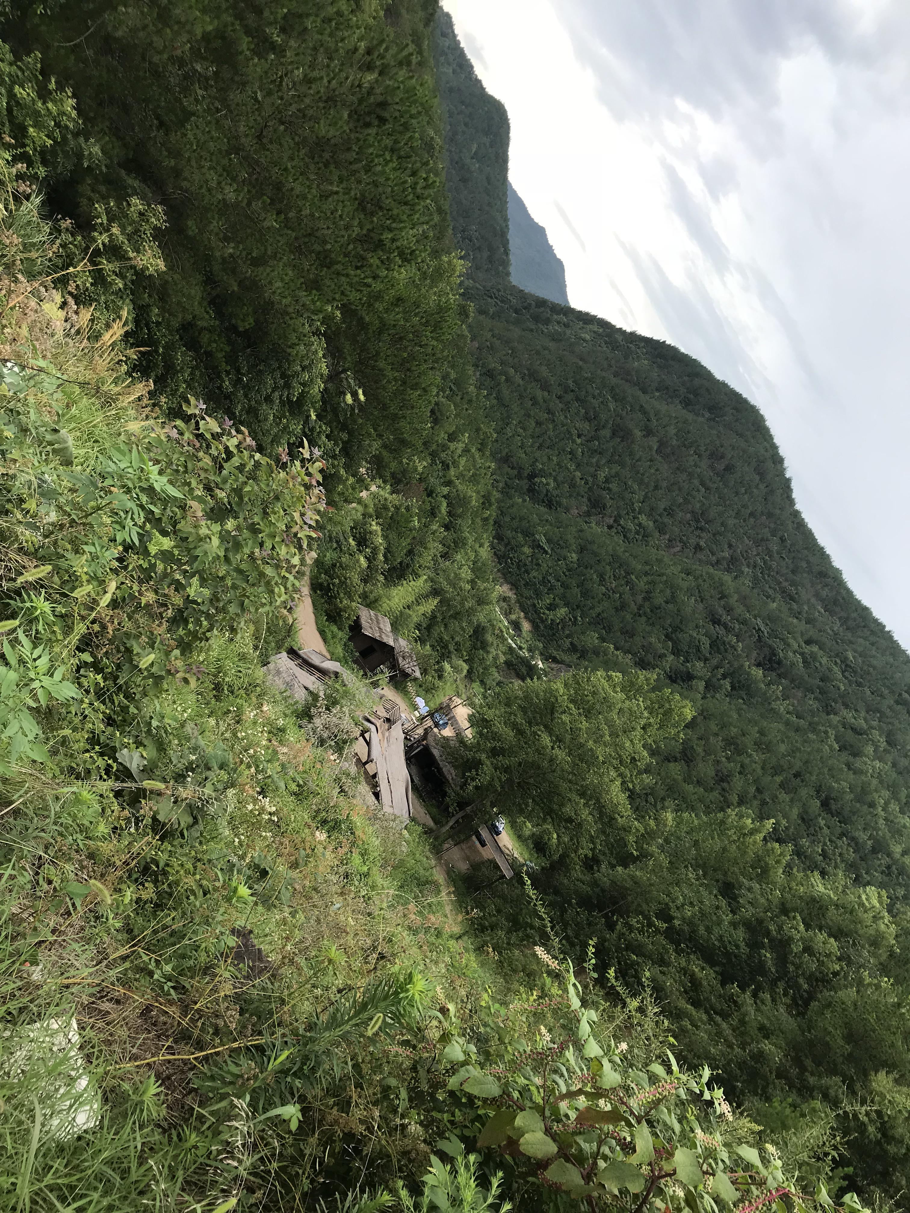 ren fei cao mu, shu neng wu qing