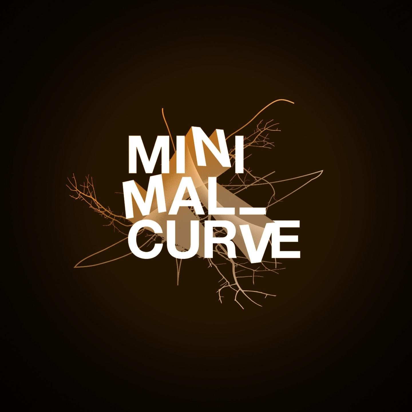 Minimal Curve