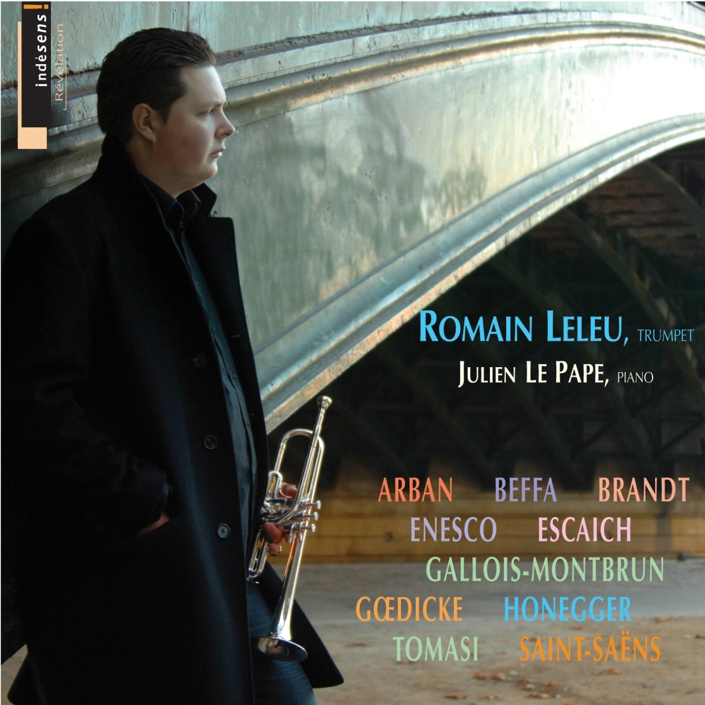 Le carnaval des animaux: XIII. Le cygne