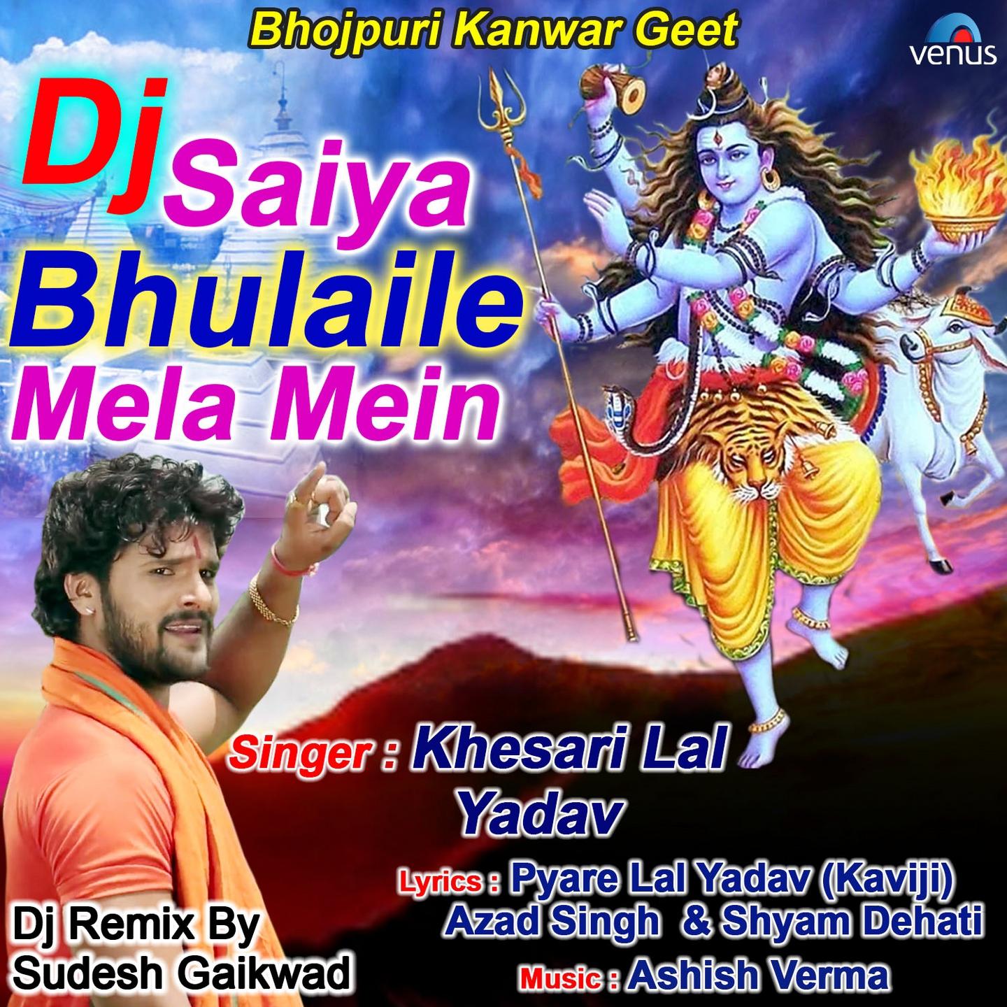 DJ Saiya Bhulaile Mela Mein
