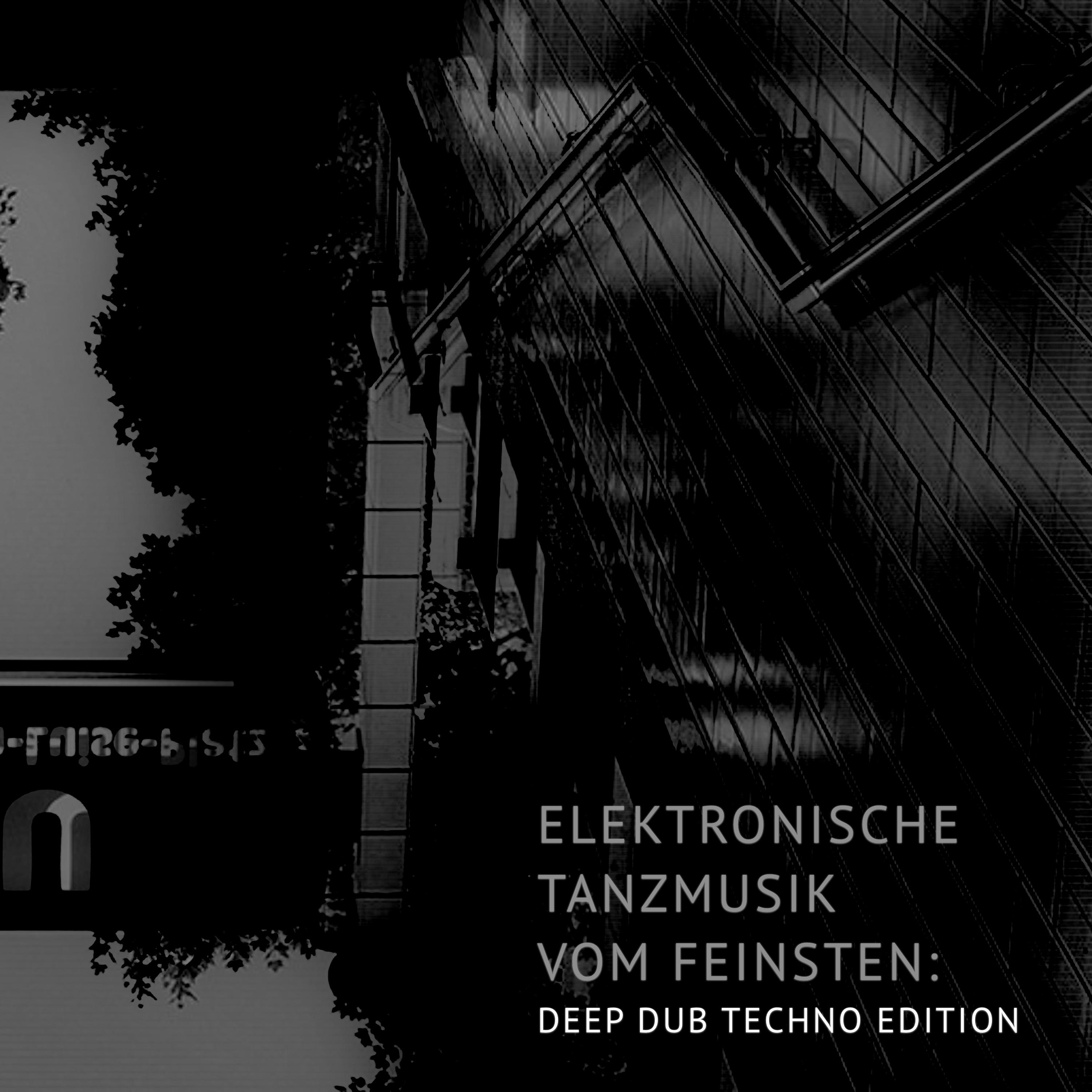 Elektronische Tanzmusik vom feinsten: Deep Dub Techno Edition