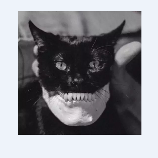 chen mo gao yang yi shou