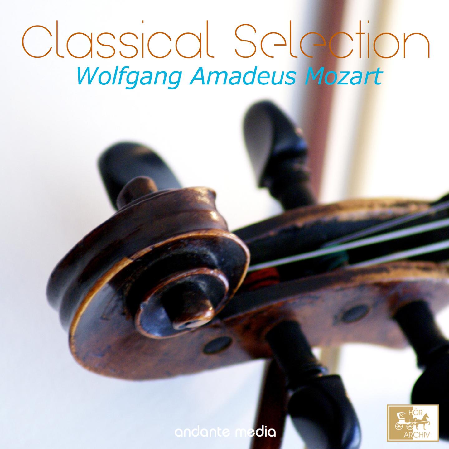 Divertimento in F Major, K. 138 "Salzburg Symphony No.3": II. Andante maestoso - Allegro assai