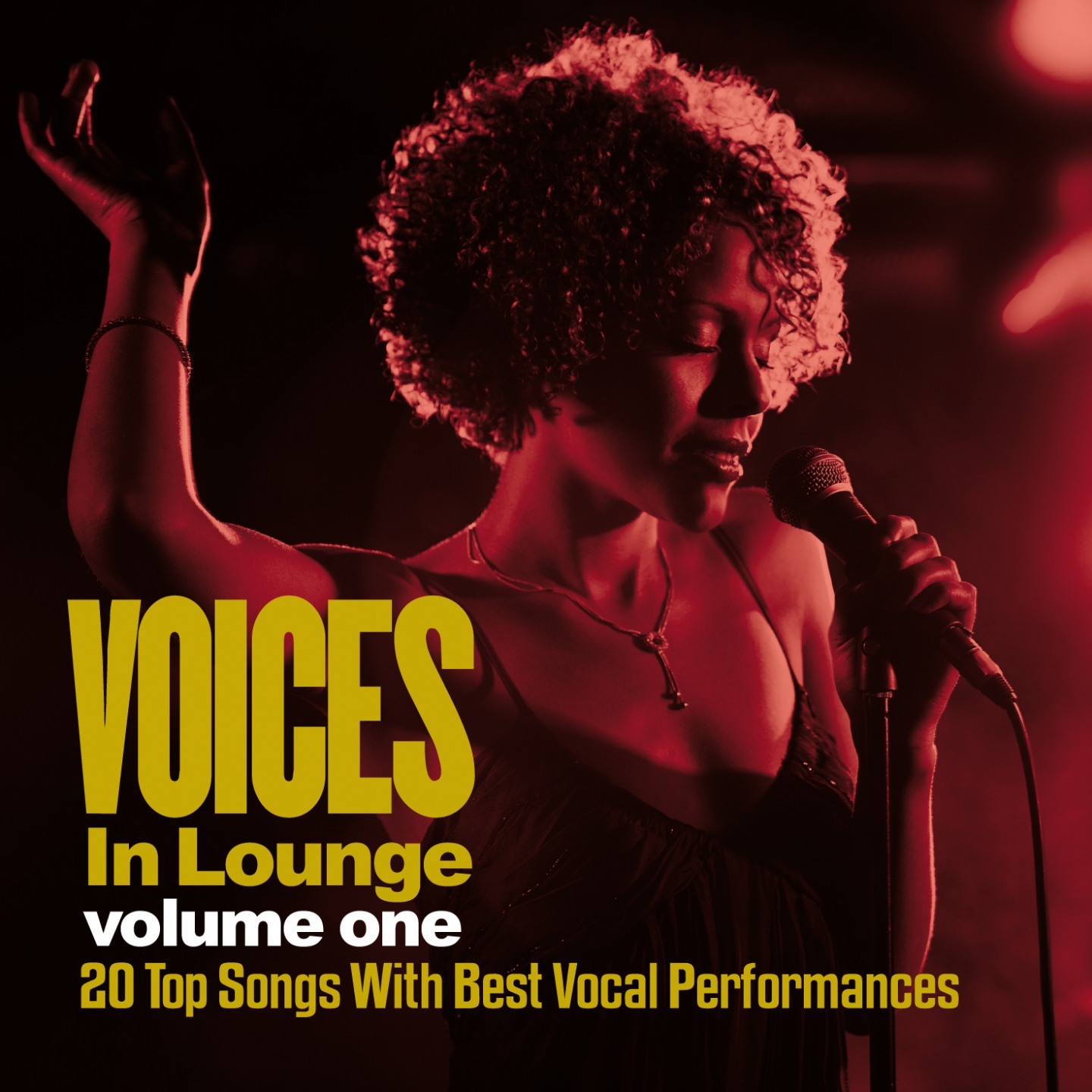Voices in Lounge, Vol. 1 (20 Top Songs with the Best Vocal Performances)