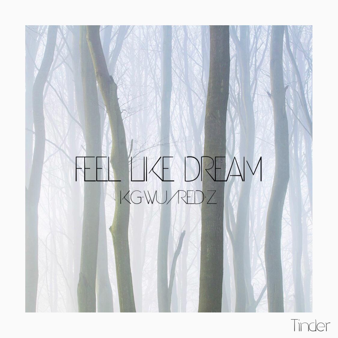 Feel  Like  Dream