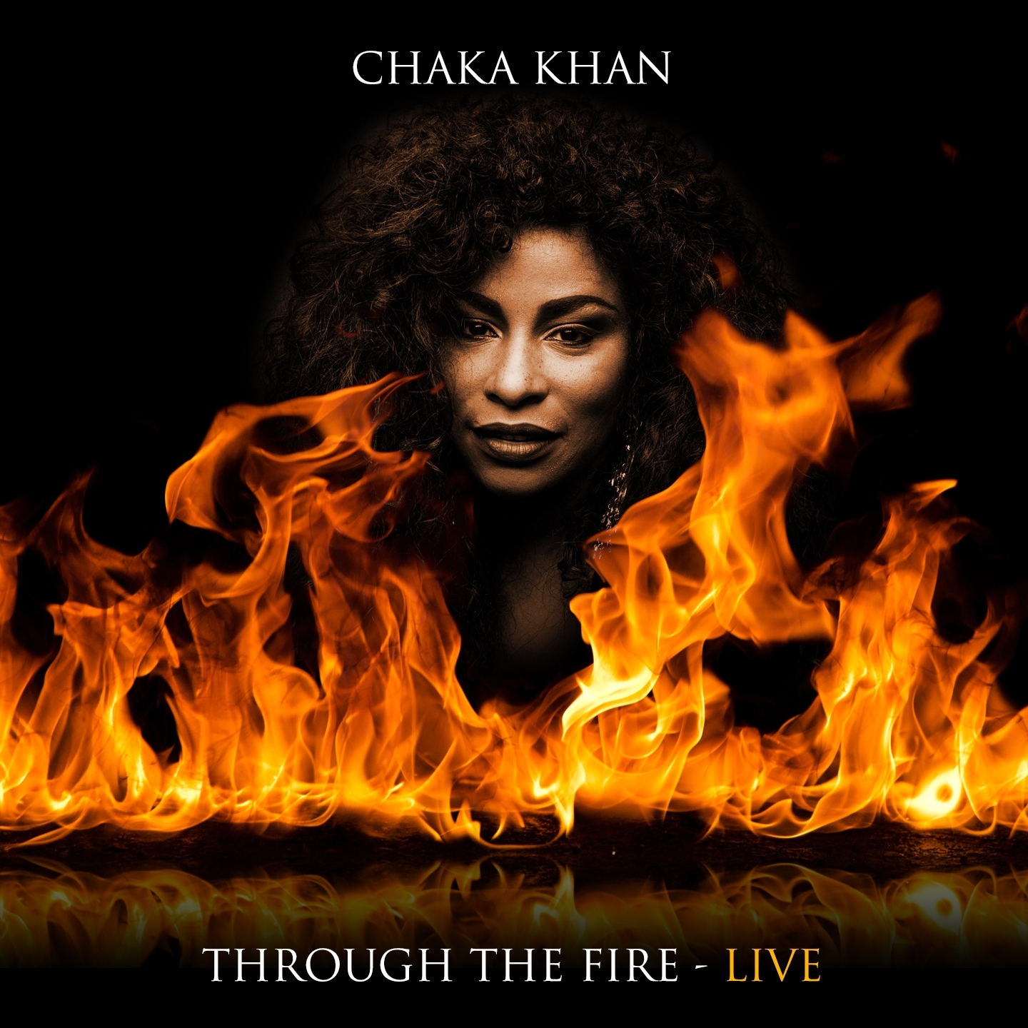 Through The Fire - Live
