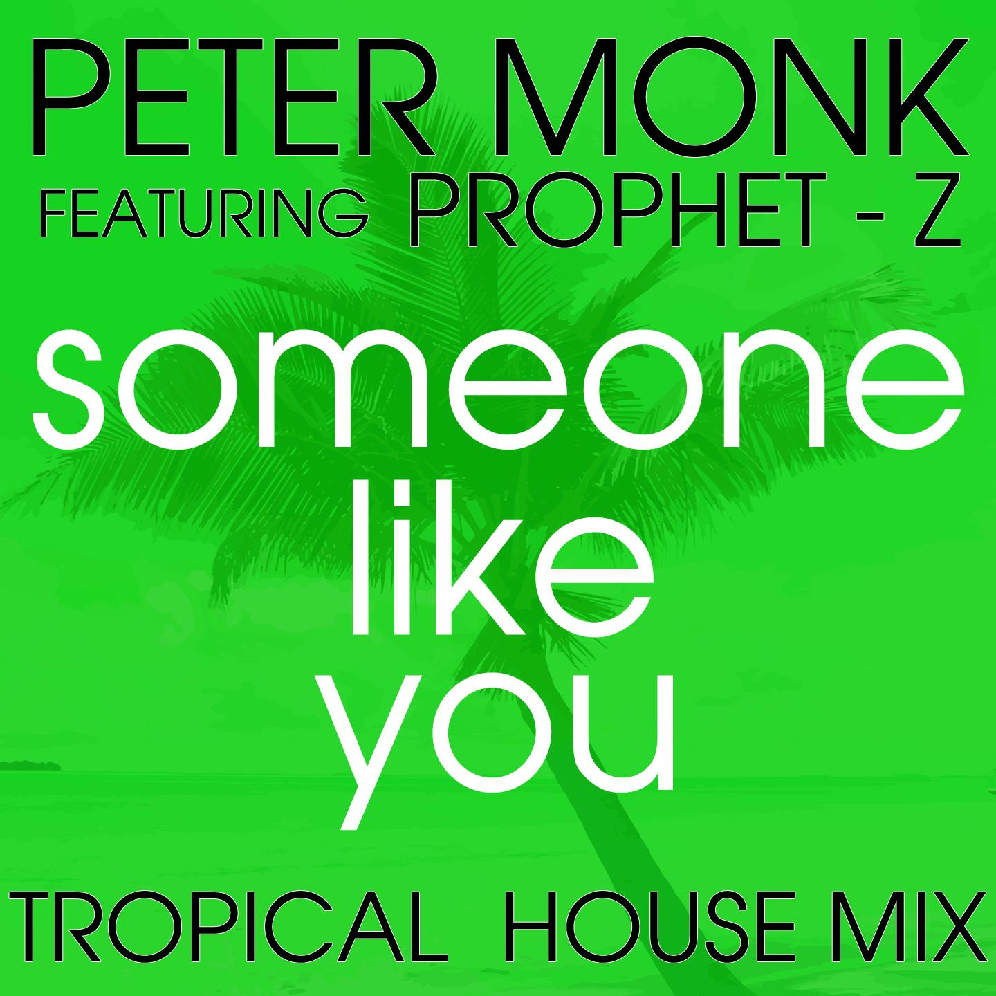Someone Like You (Tropical House Radio Edit Fade)