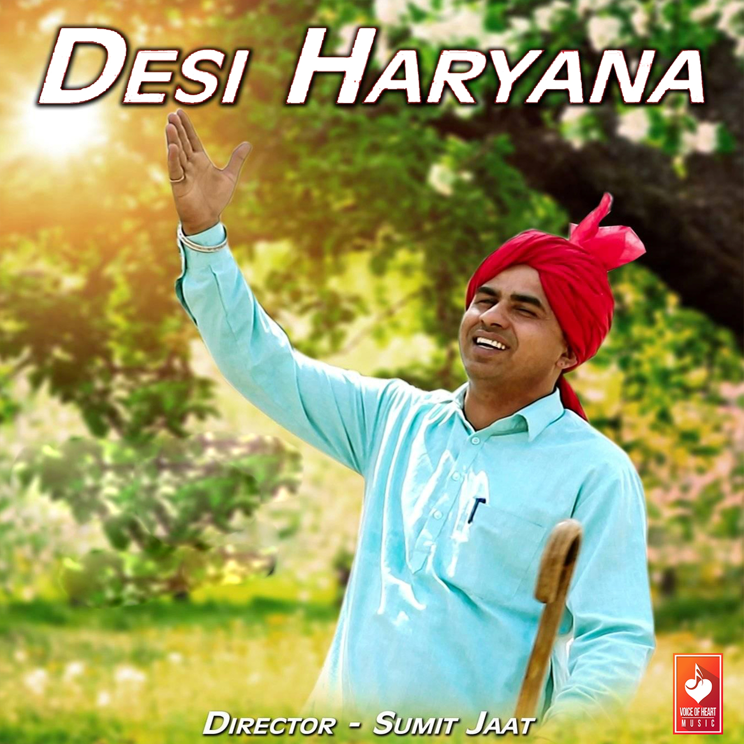 Desi Haryana - Single