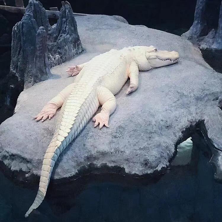 12 yue 15 ri xia wu 4 dian 59 fen de yi gen yan