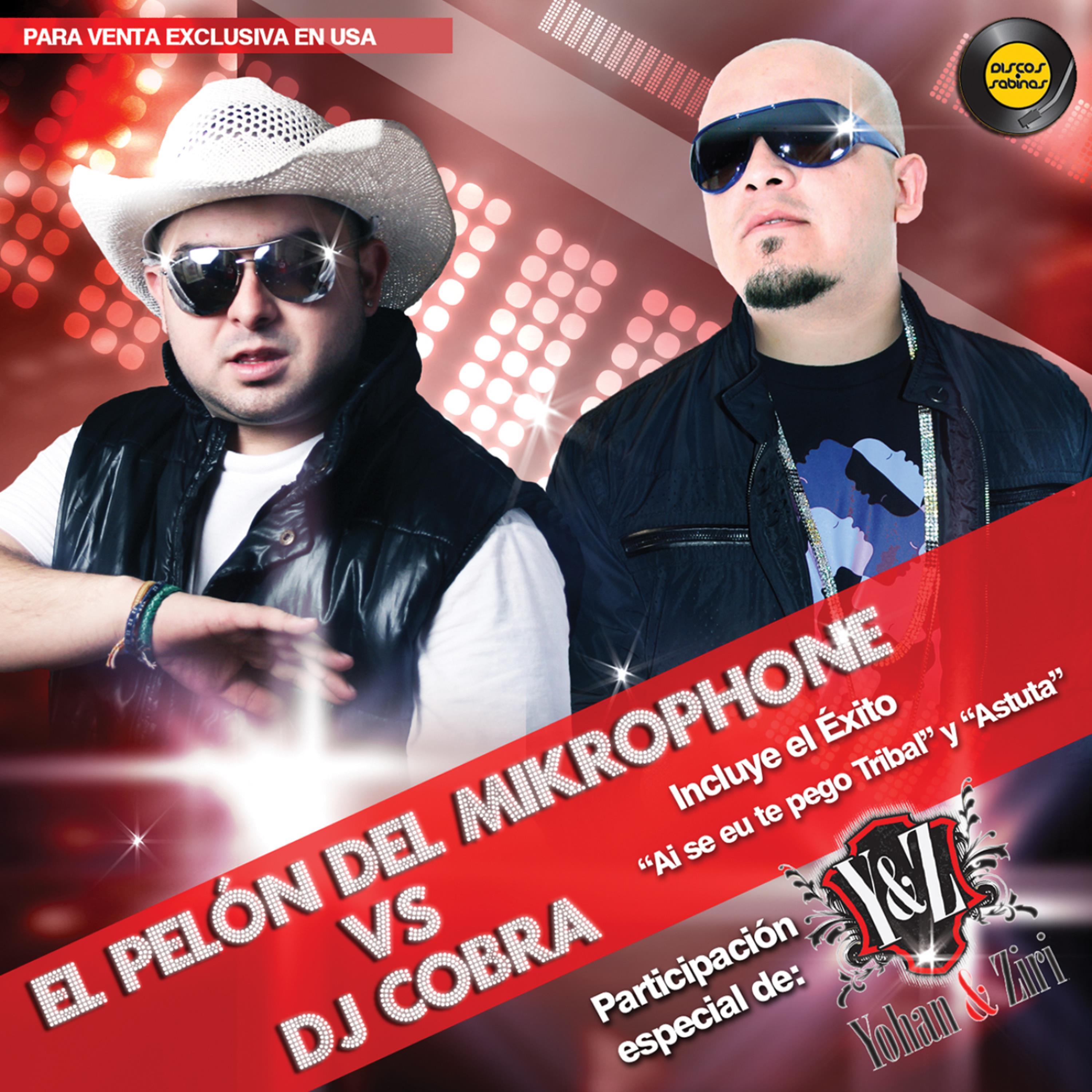 El Pelo n del Mikrophone vs Dj Cobra