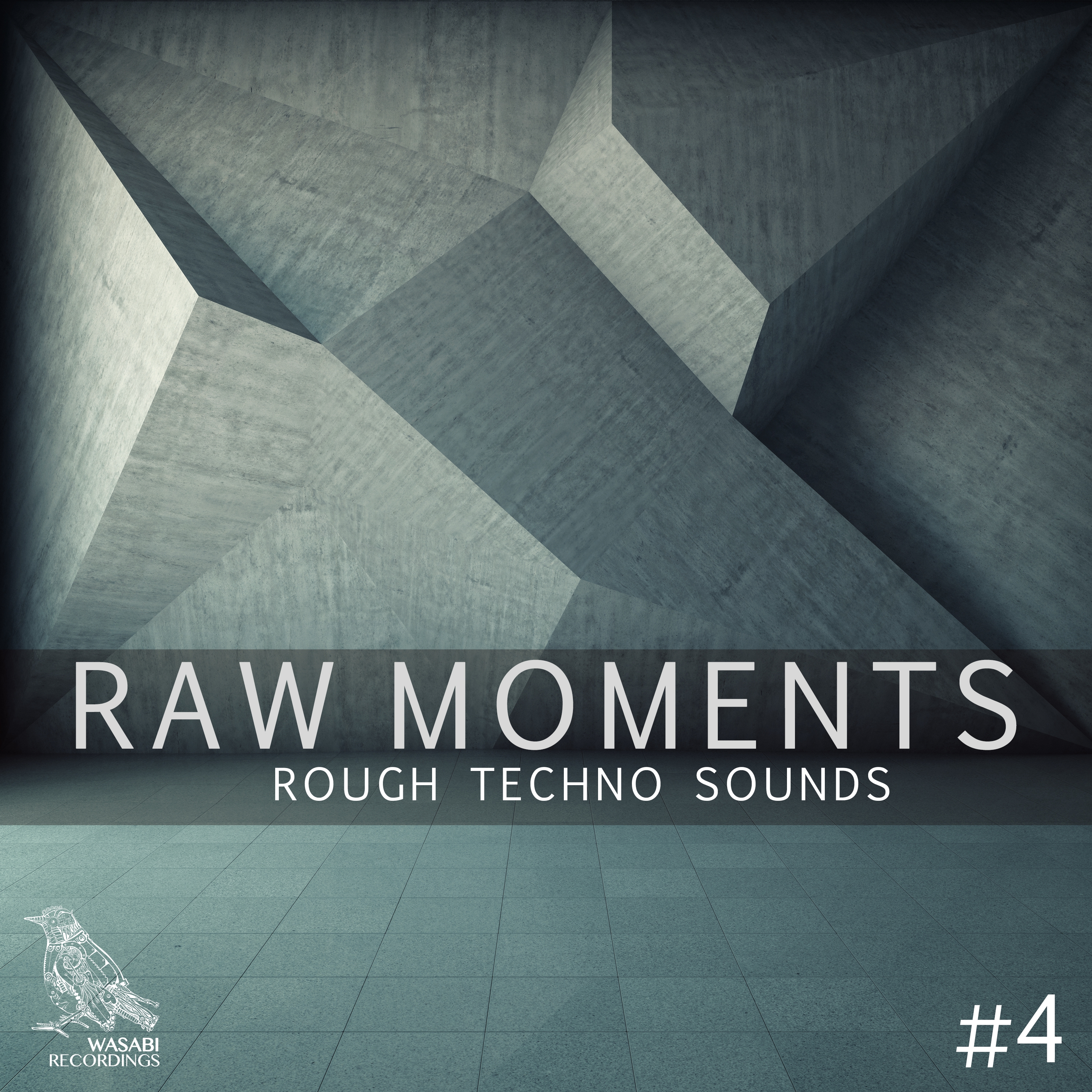Raw Moments, Vol. 4 - Rough Techno Sounds