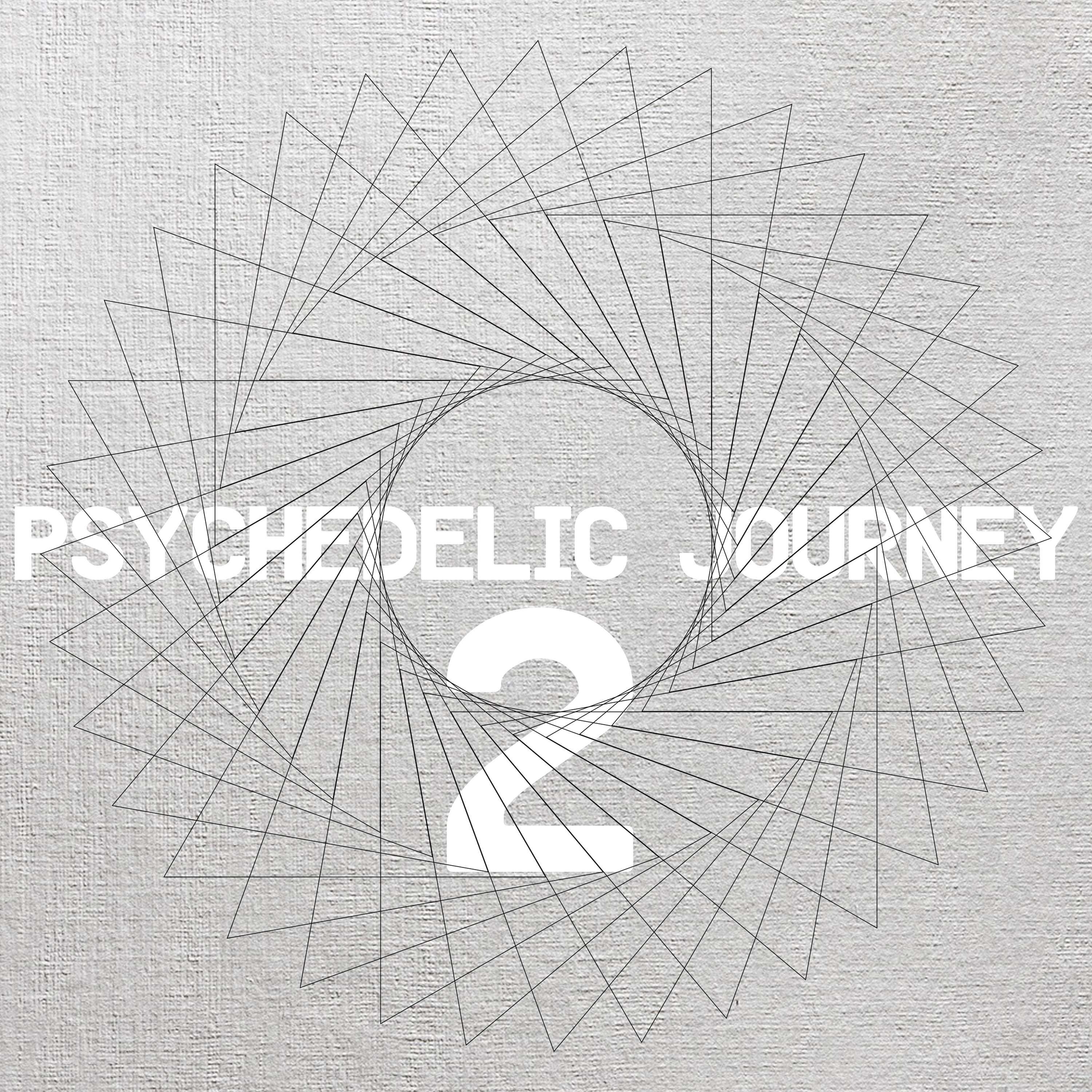 Psychedelic Journey 2