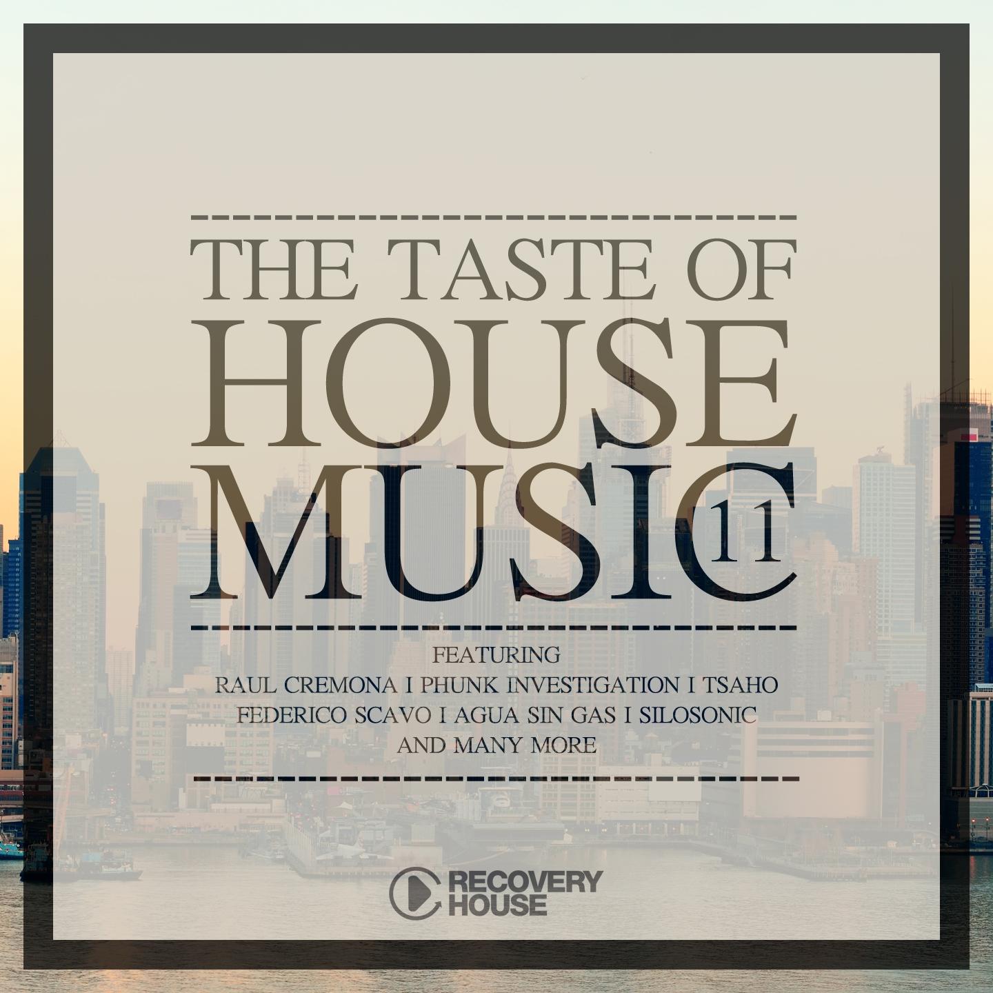 The Taste of House Music, Vol. 11