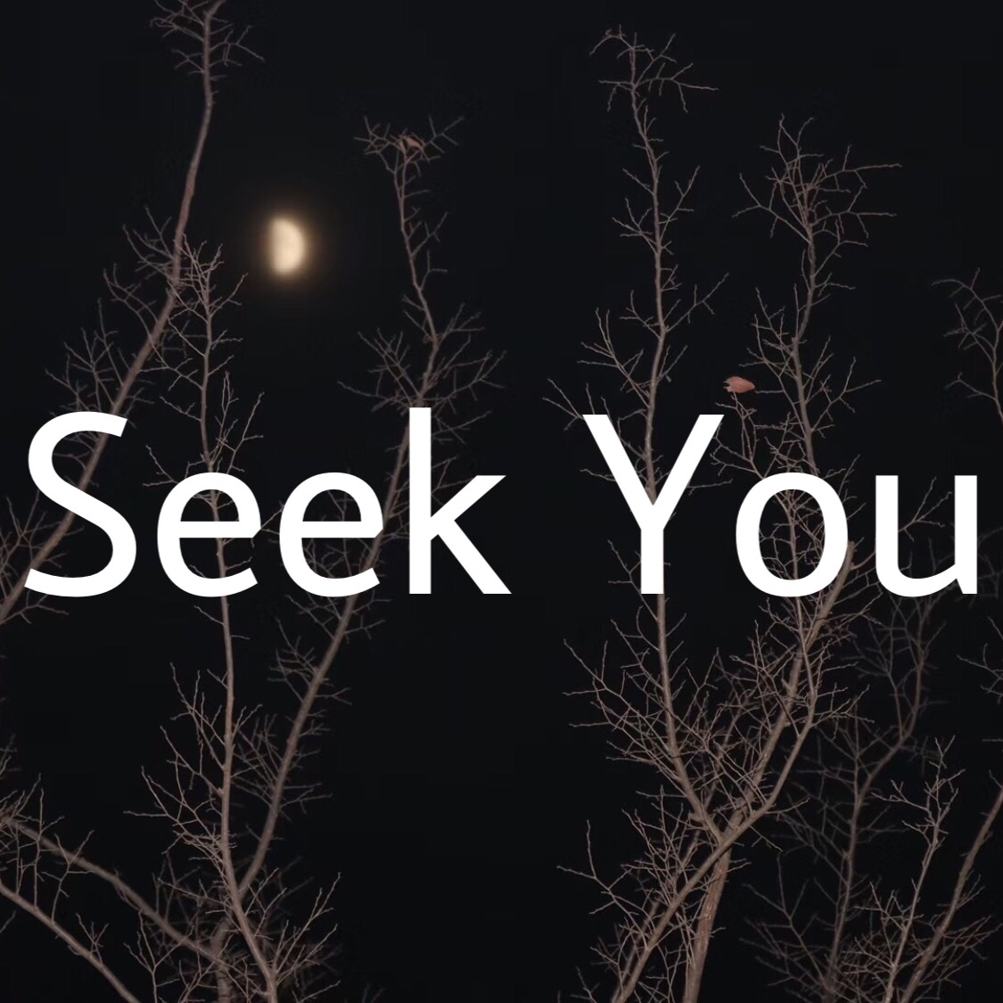 Seek  You
