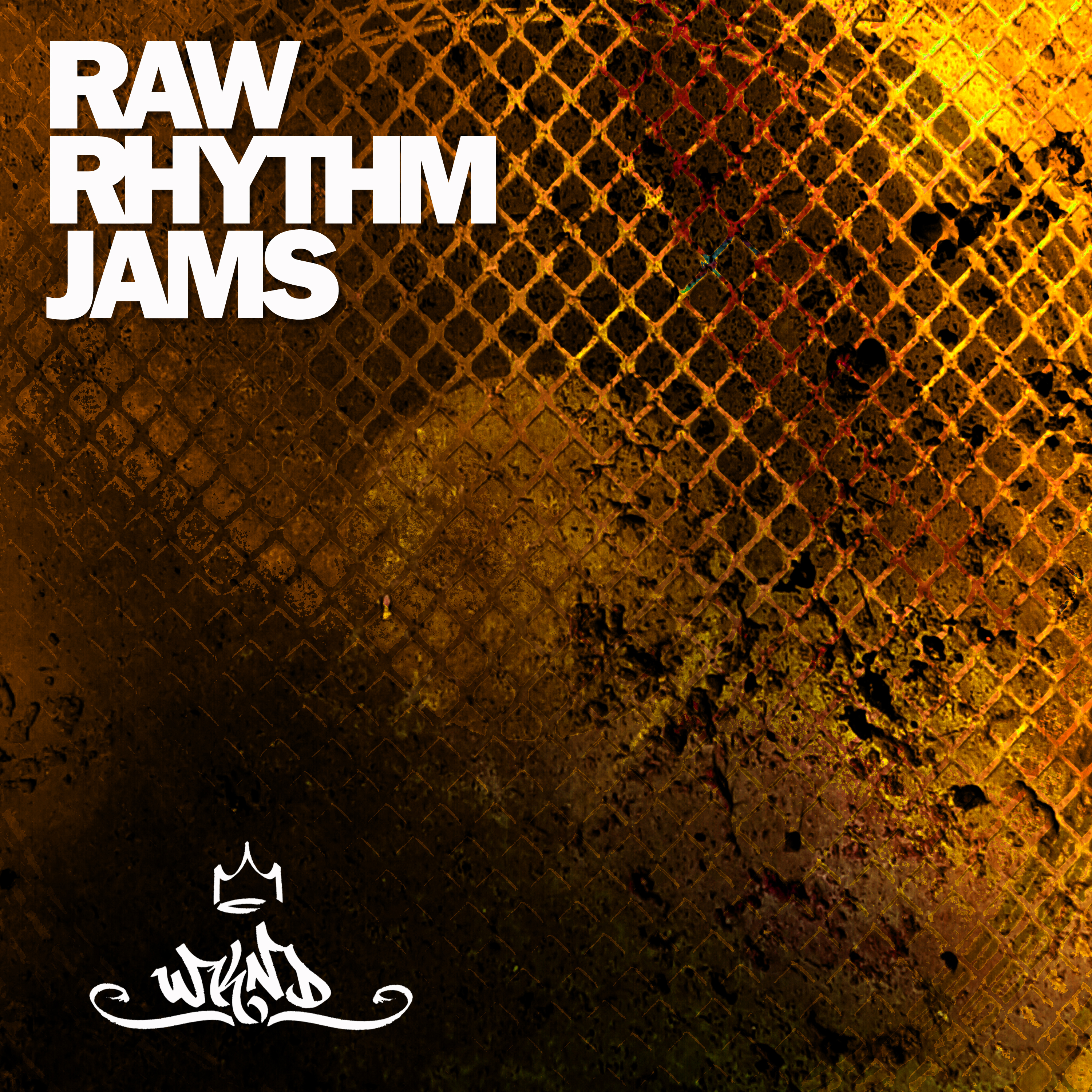 Raw Rhythm Jams, Vol. 2