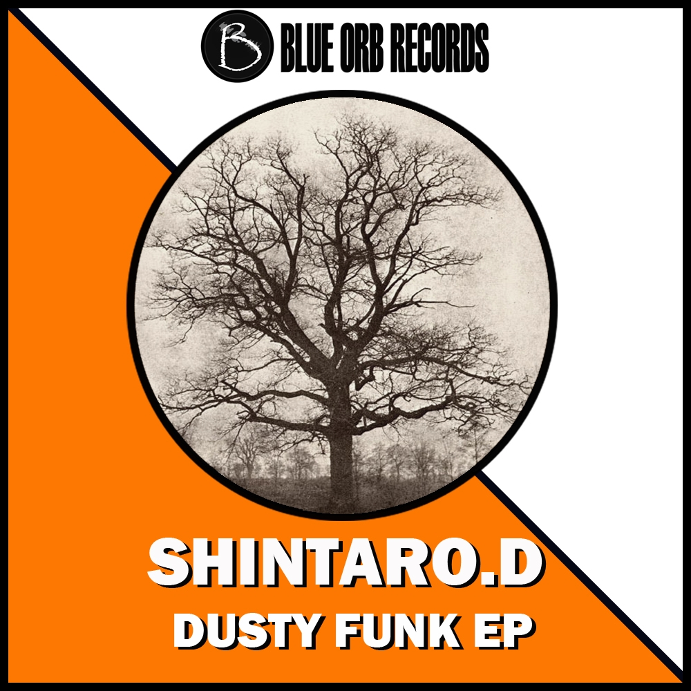 Don't Party (Shintaro.D Remix)