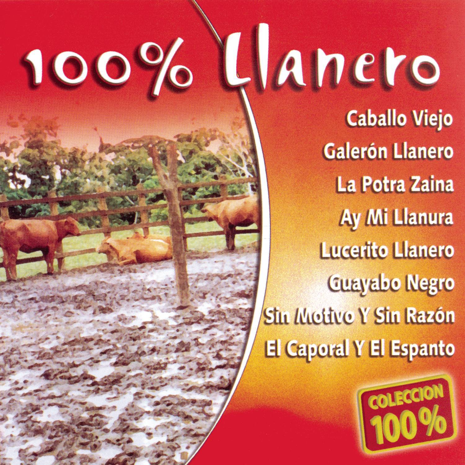 Caballo Viejo (Album Version)