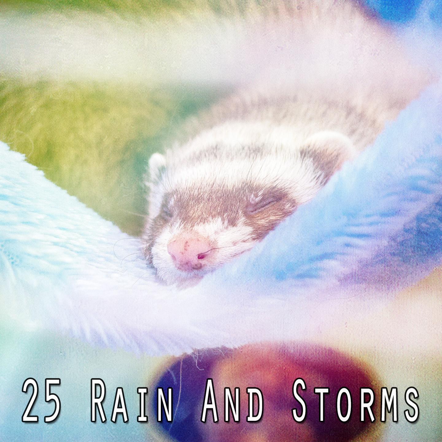 25 Rain And Storms