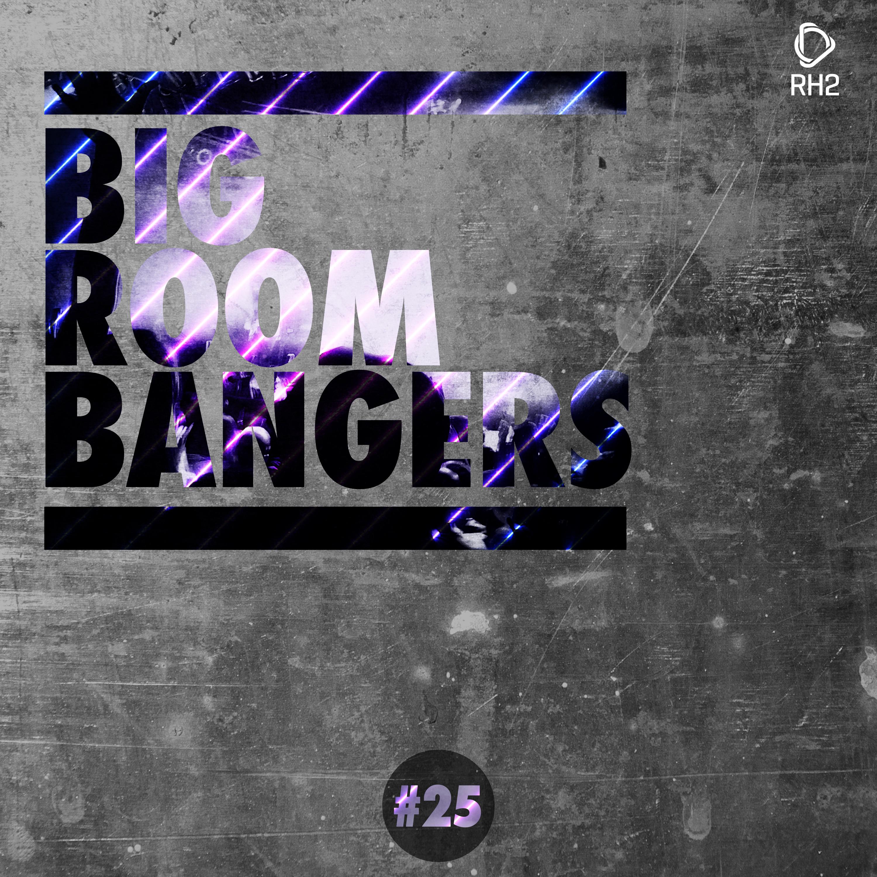 Big Room Bangers, Vol. 25