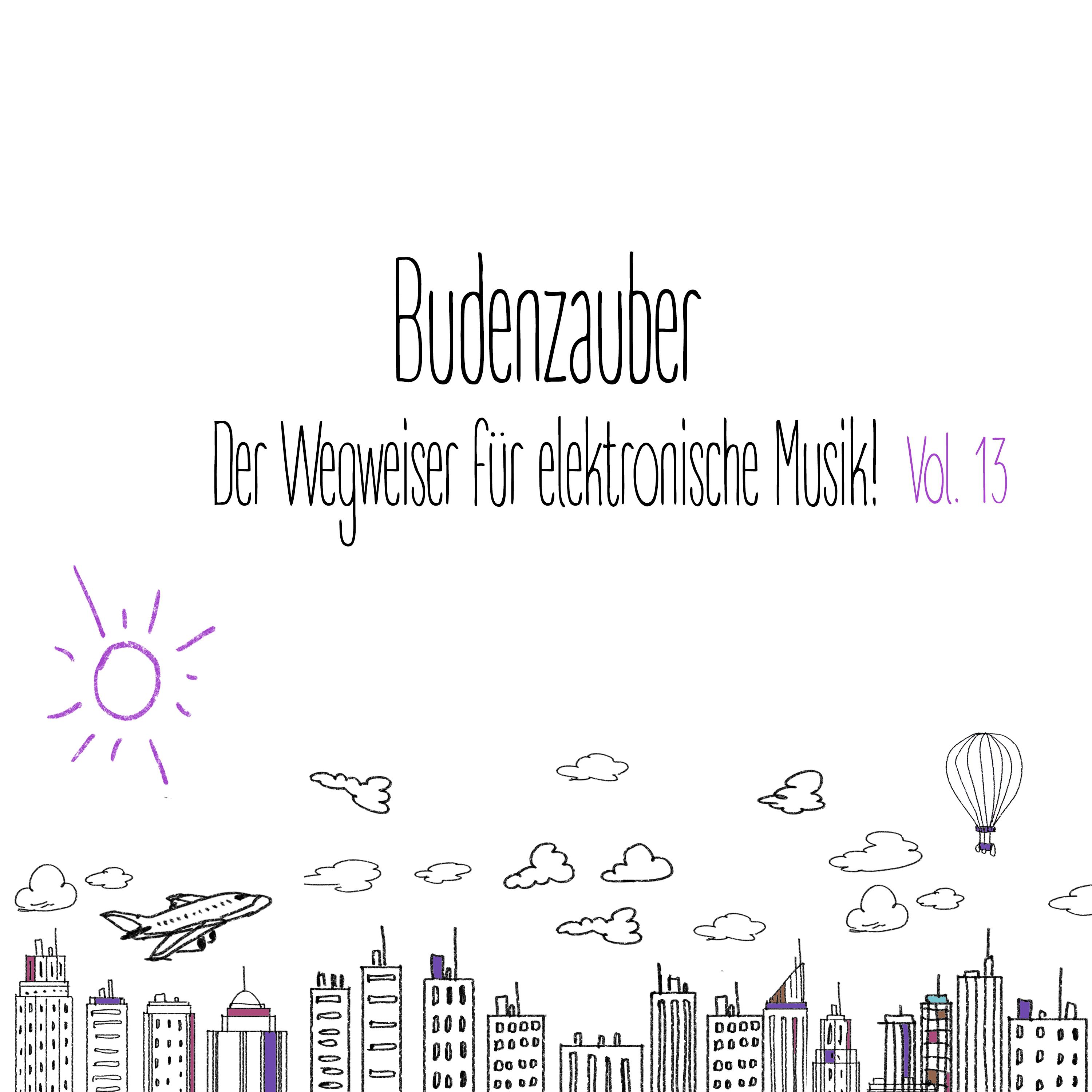 Budenzauber, Vol. 13  Der Wegweiser fü r elektronische Musik