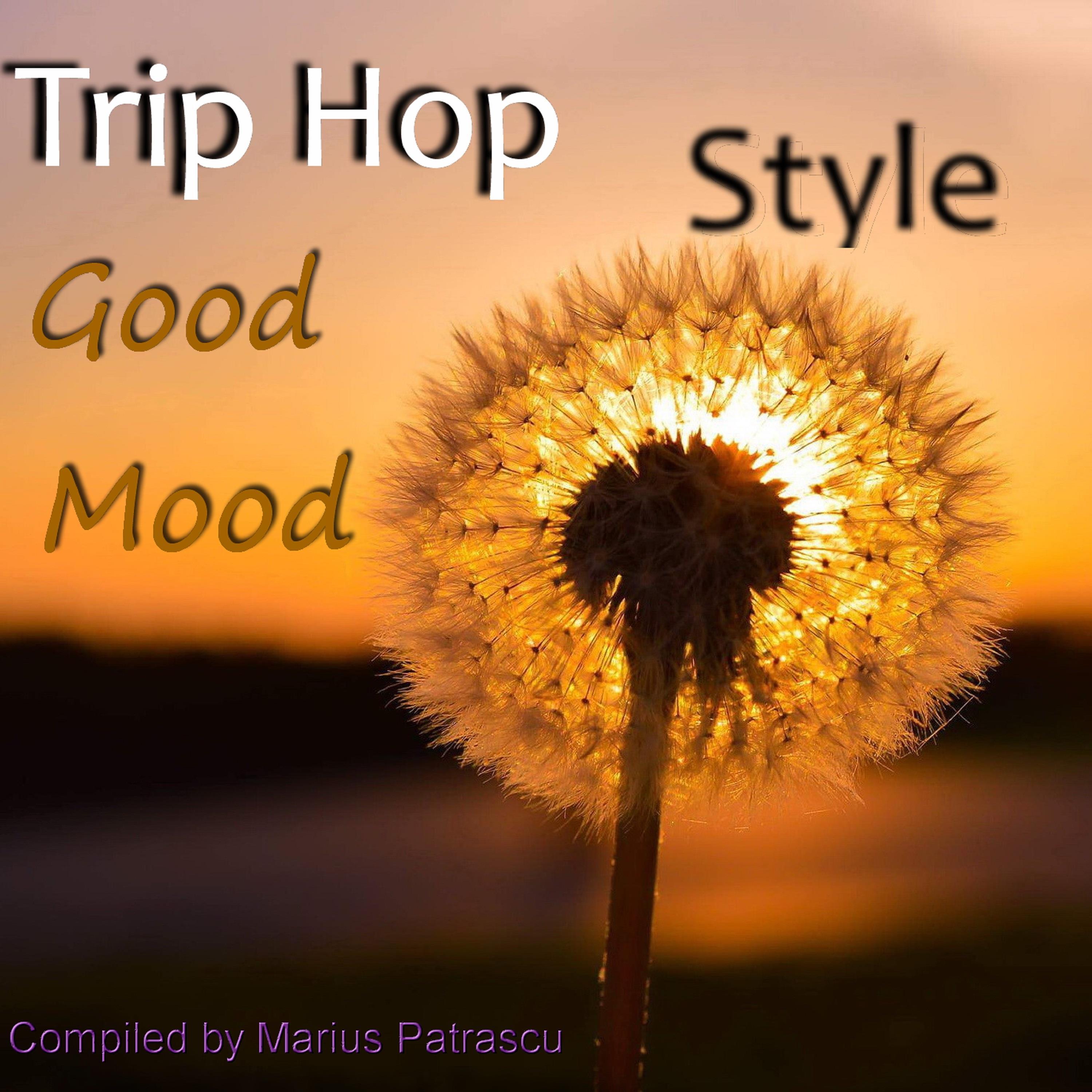 Trip Hop Good Mood Music Style (Compiled and Mixed by Marius Patrascu) [Continuous DJ Mix]