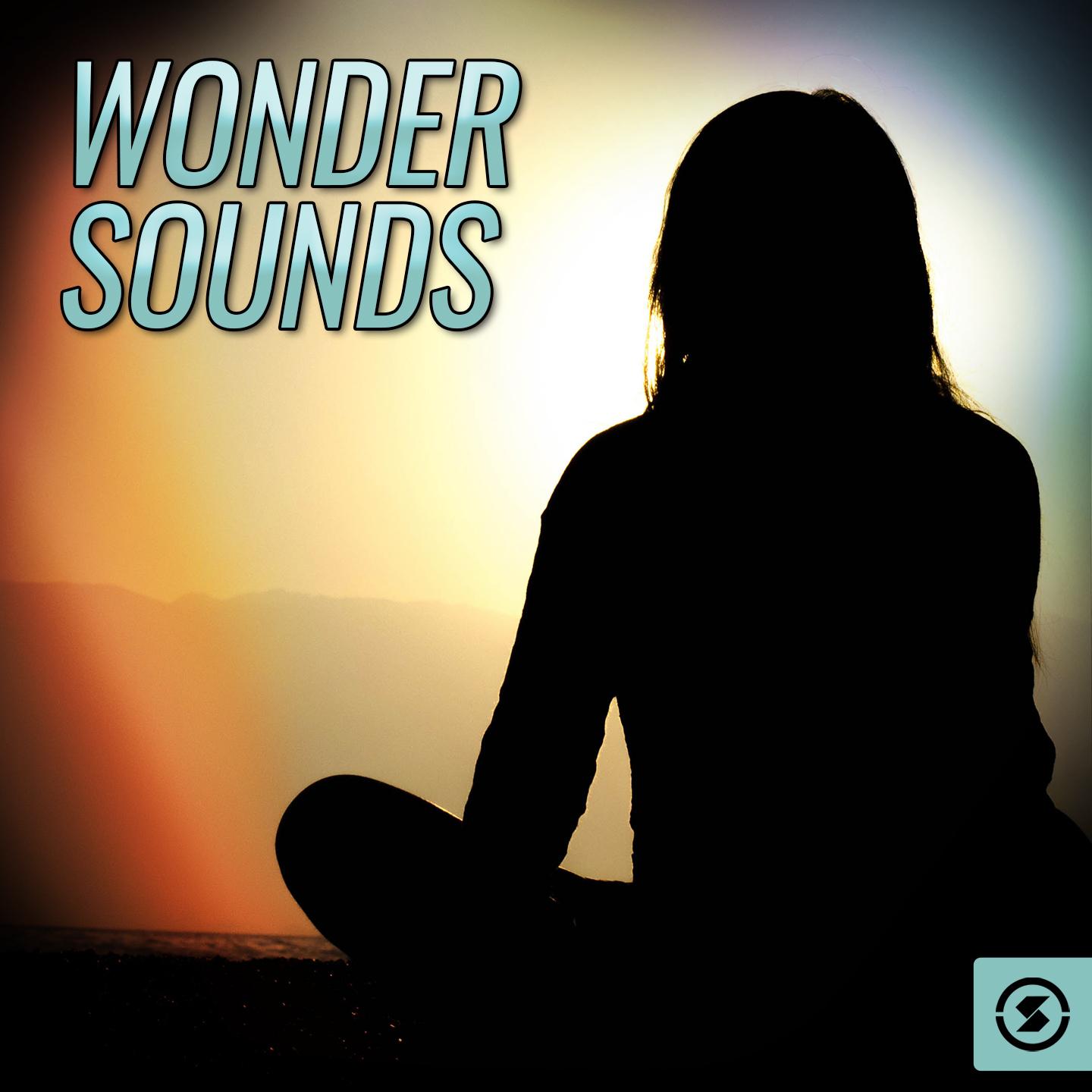 Wonder Sounds