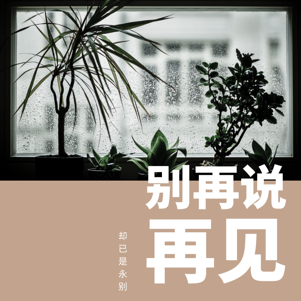 bie zai shuo zai jian