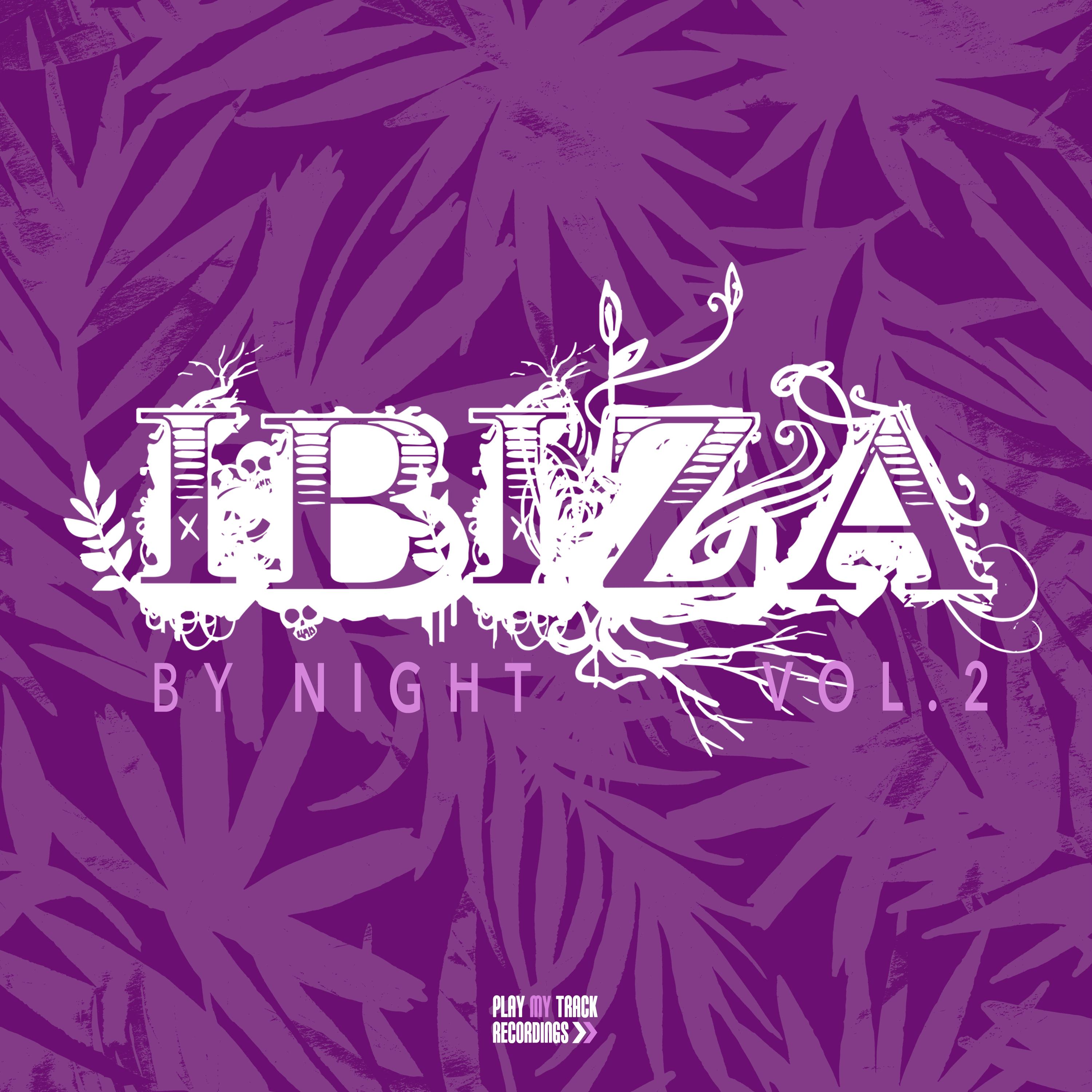 Ibiza by Night, Vol. 2