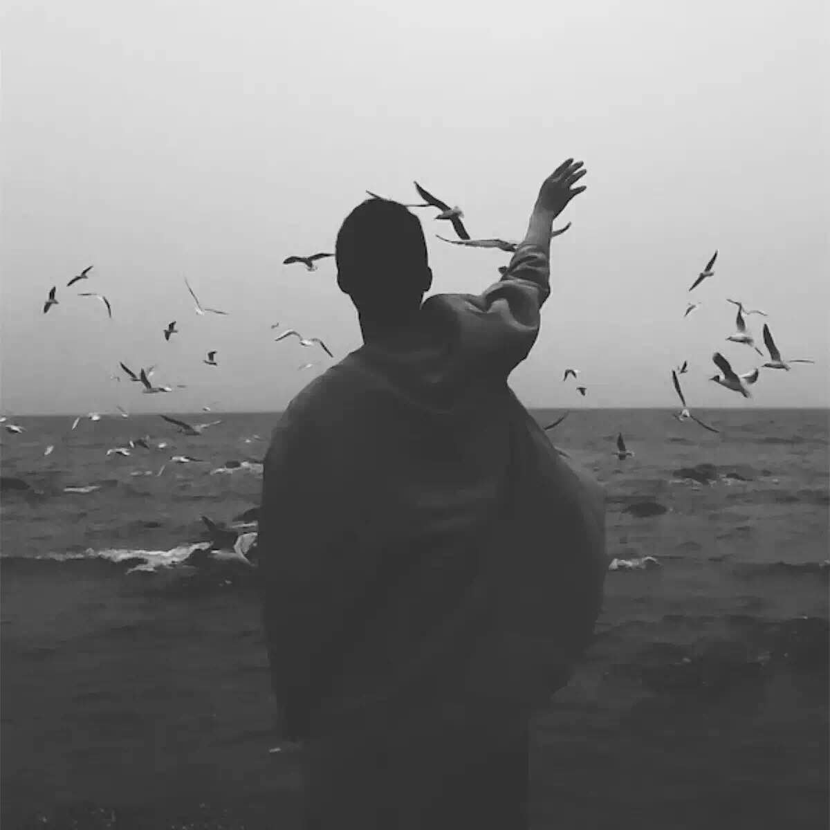 yan qian ren zui ke gui