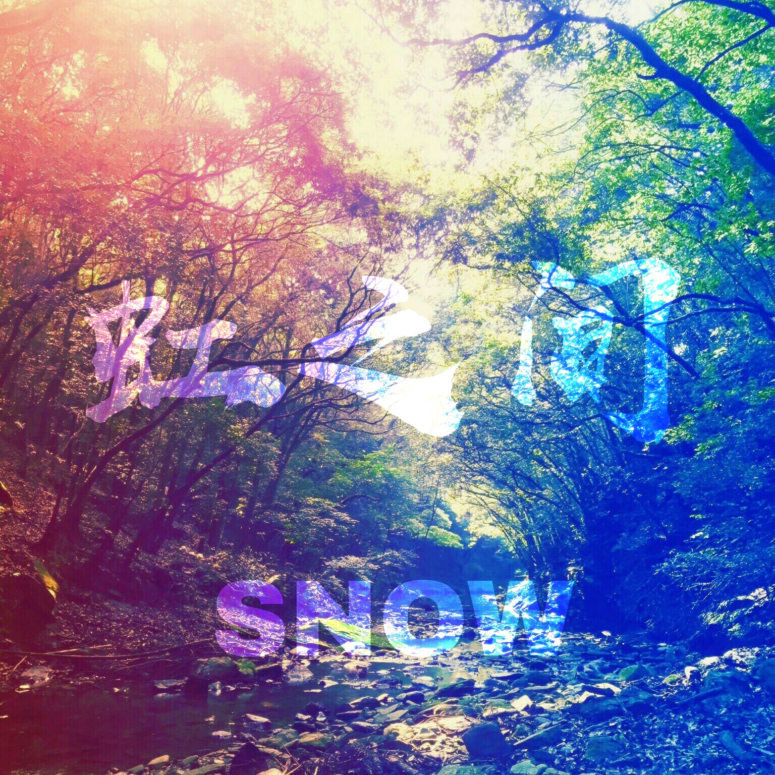 hong zhi jian nv sheng ban Cover jin gui cheng