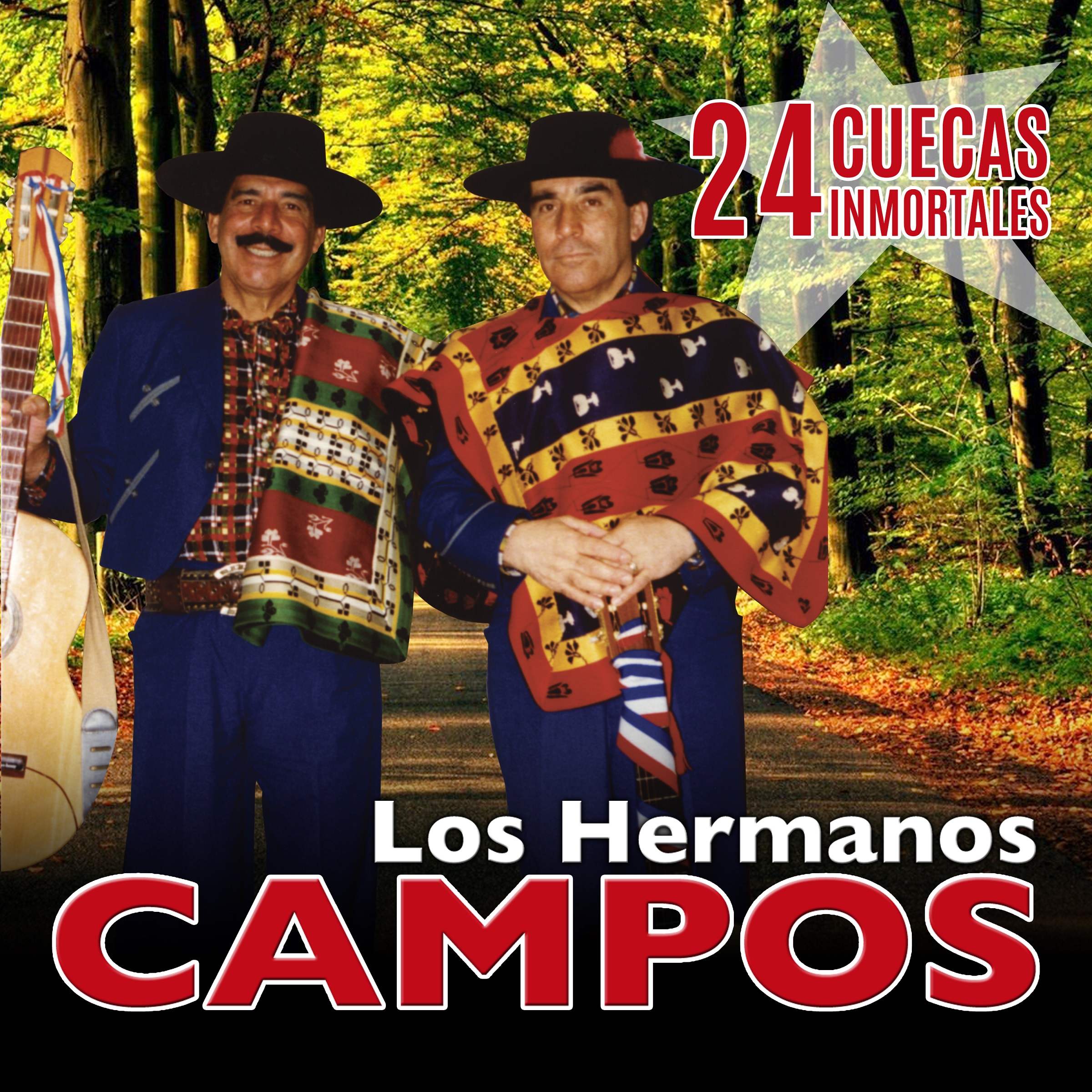 Los Viejos de 80 A os  las Colectas