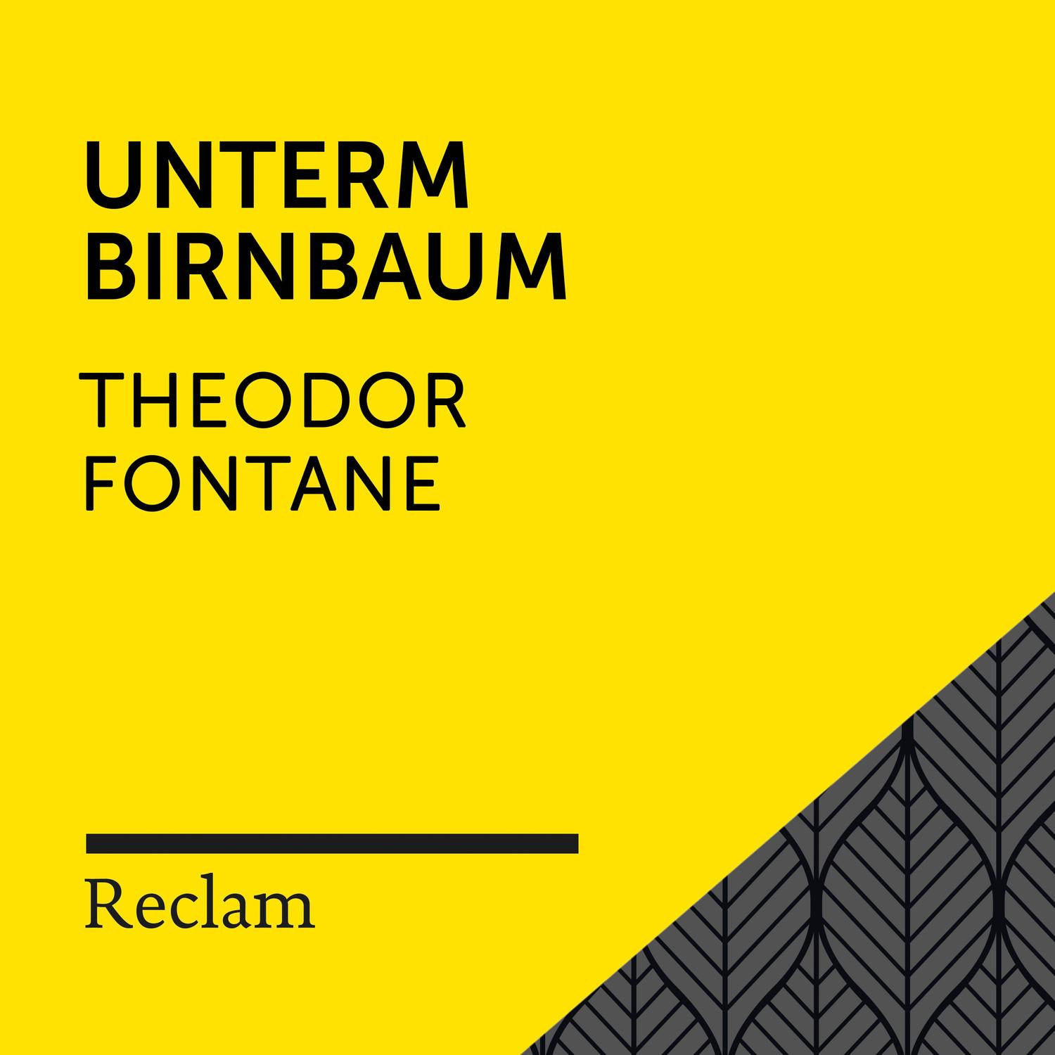 Fontane: Unterm Birnbaum Reclam H rbuch