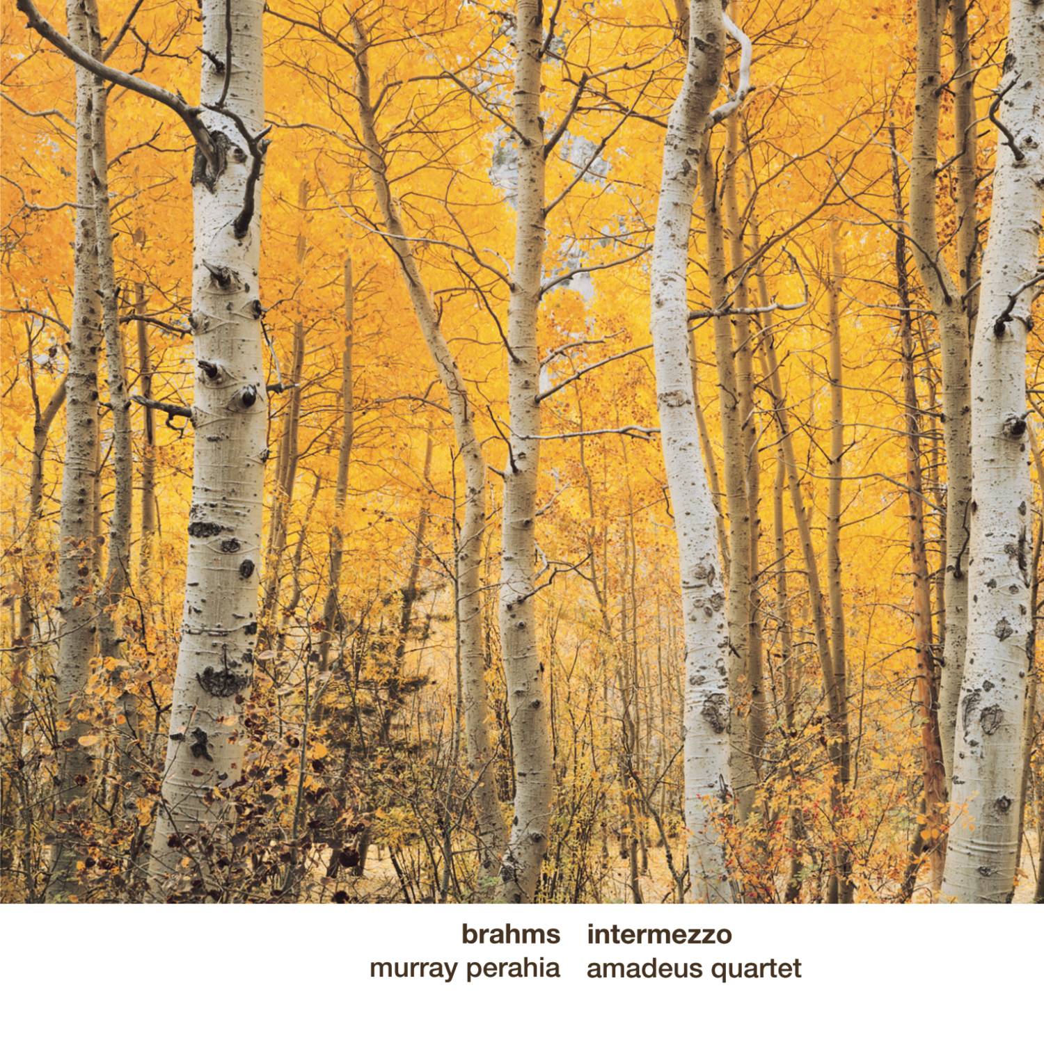 Cappricio in B Minor, Op. 76 No. 2