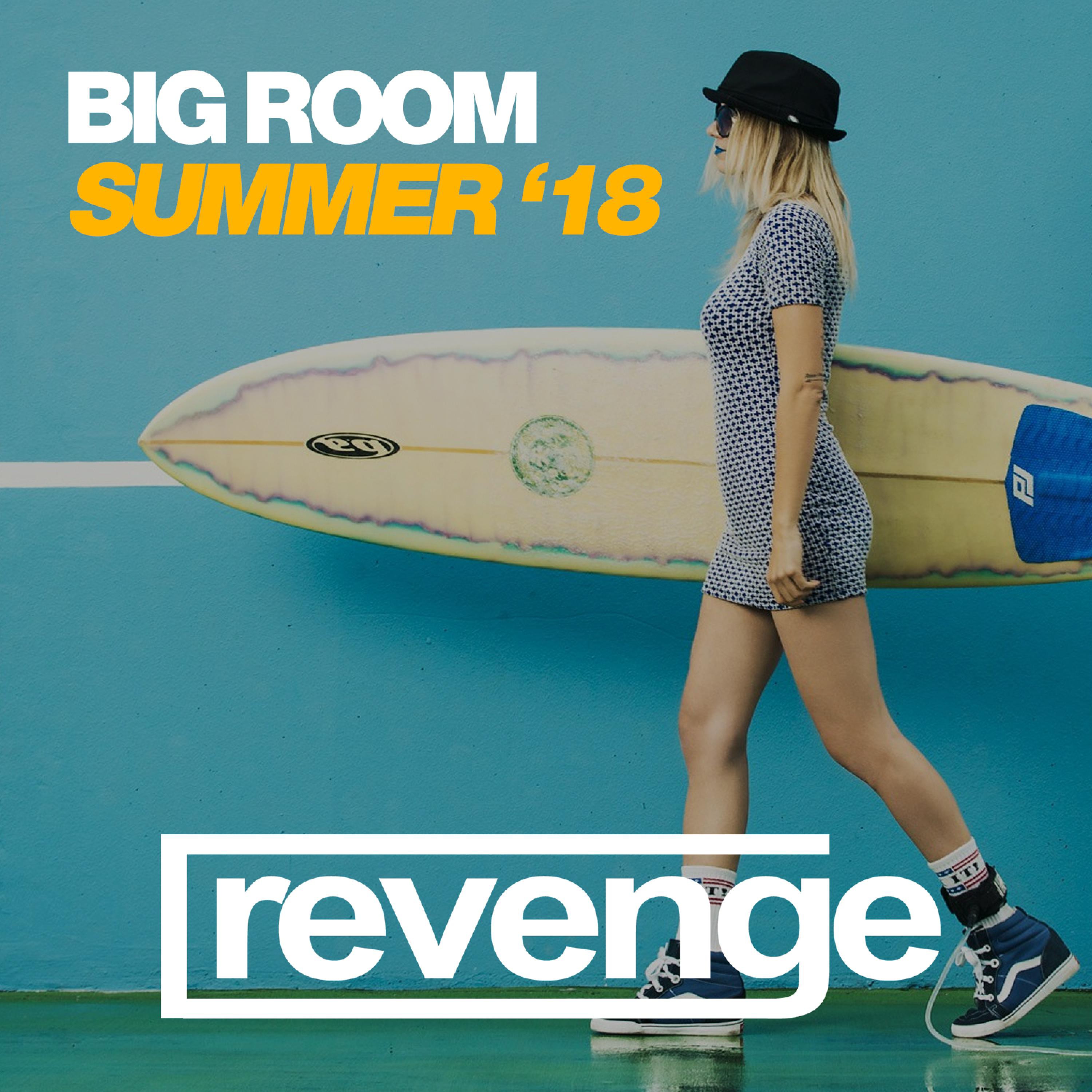 Big Room Summer '18