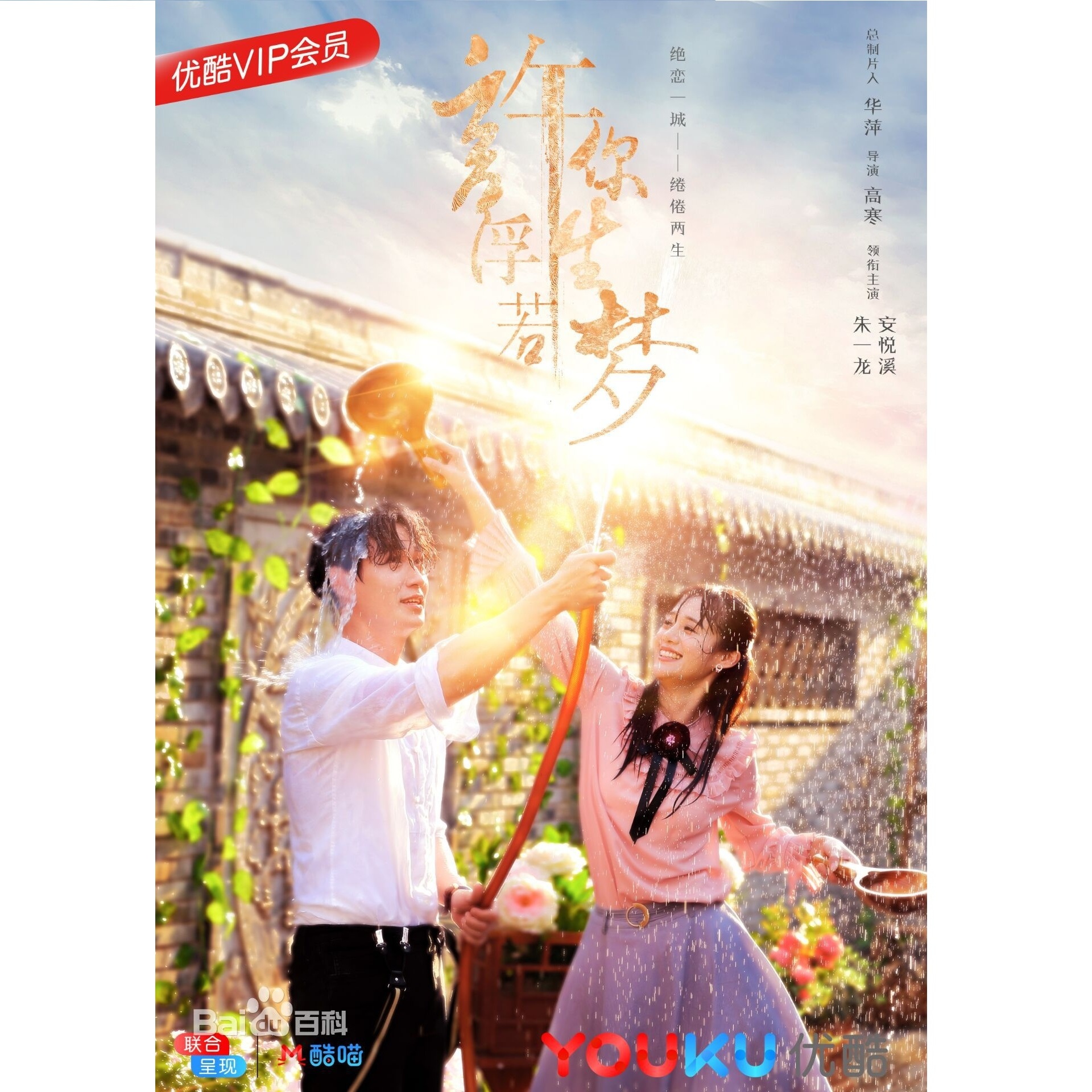 xu ni fu sheng ruo meng BGM quan ji