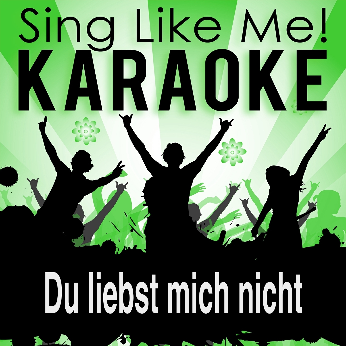 Du liebst mich nicht (Karaoke Version) (Originally Performed By Sabrina Setlur)
