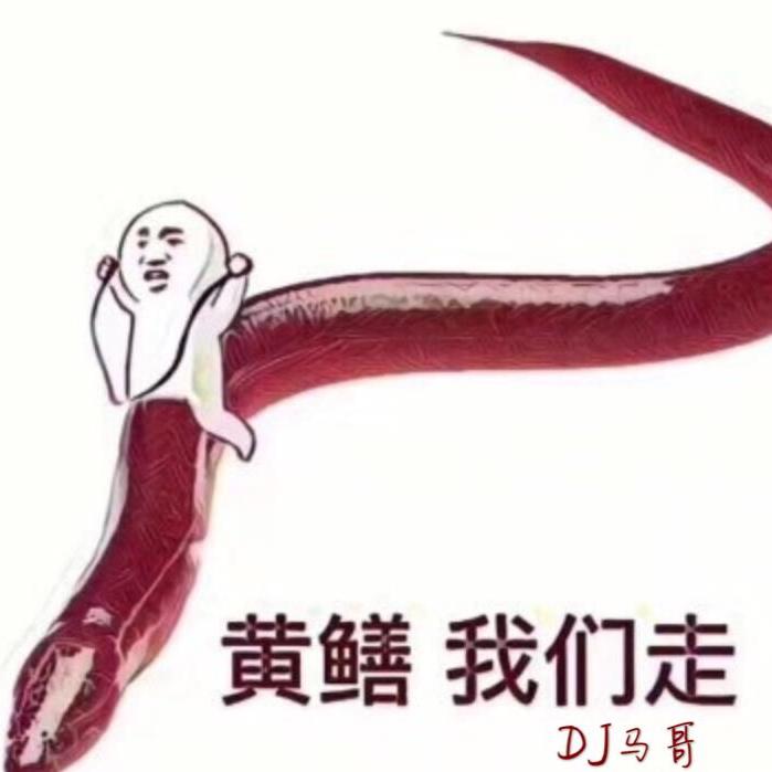 pi pi shan wo men zou