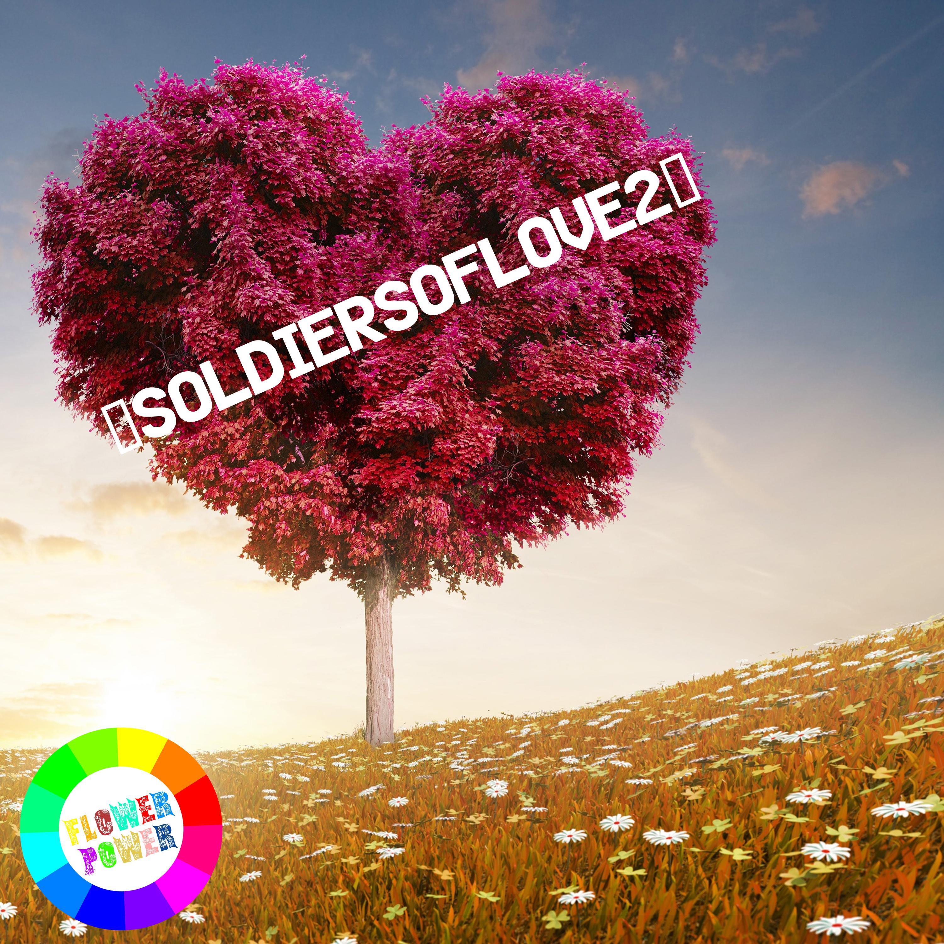 Soldiers of Love 2
