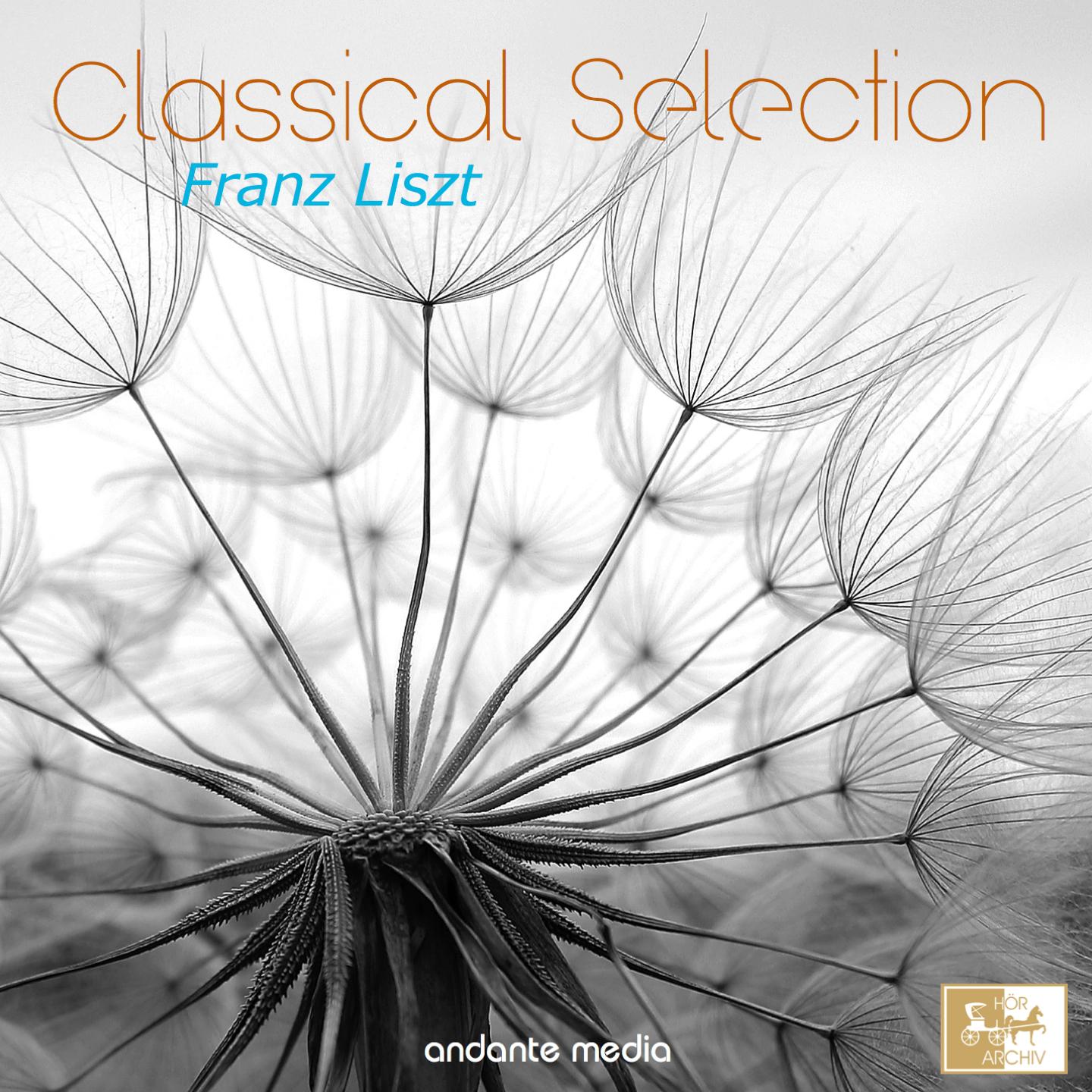 Piano Concerto No. 2 in A Major, S. 125: II. Allegro moderato