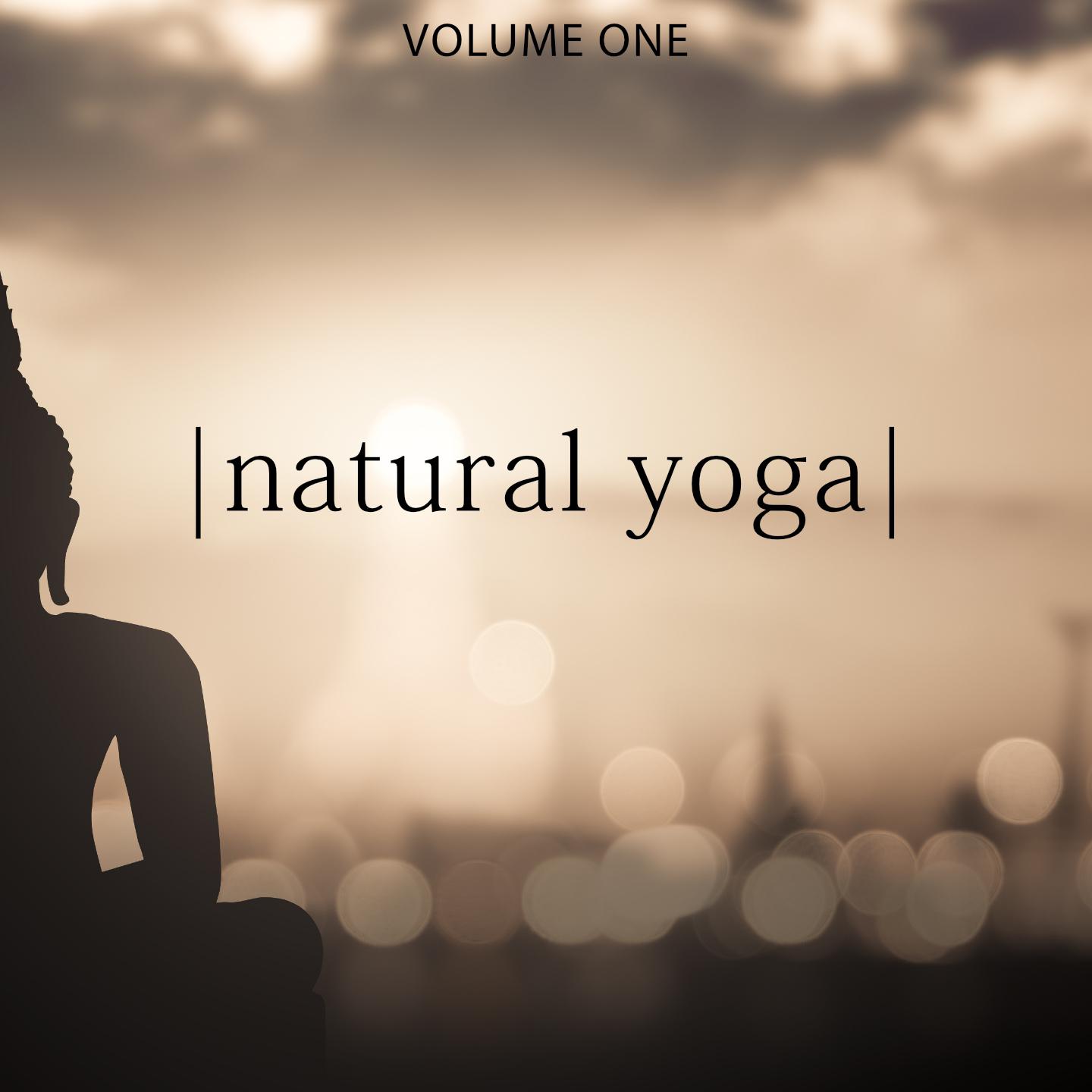 Natural Yoga, Vol. 1 (Chill Out & Zen Music For Relaxing And Yoga Workout)